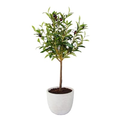 flora bunda 28-in gray indoor desktop olive artificial tree