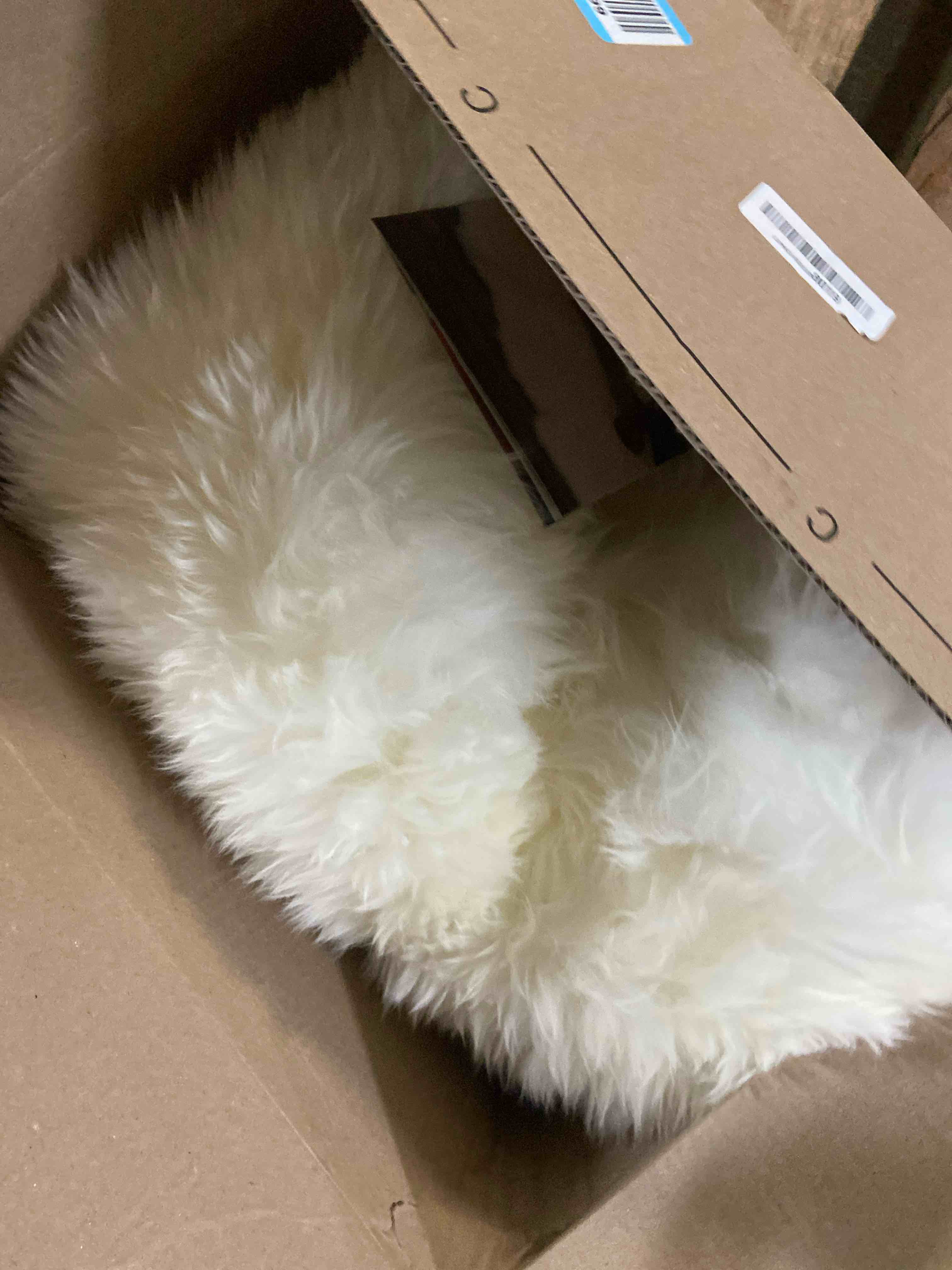 Condition photo showing New/Like New for Kopal Genuine Australian Sheepskin Rug, Real Lambskin Area Rug, 2x6 ft Double Pelt, Natural White 2' x 6' (Oblong)