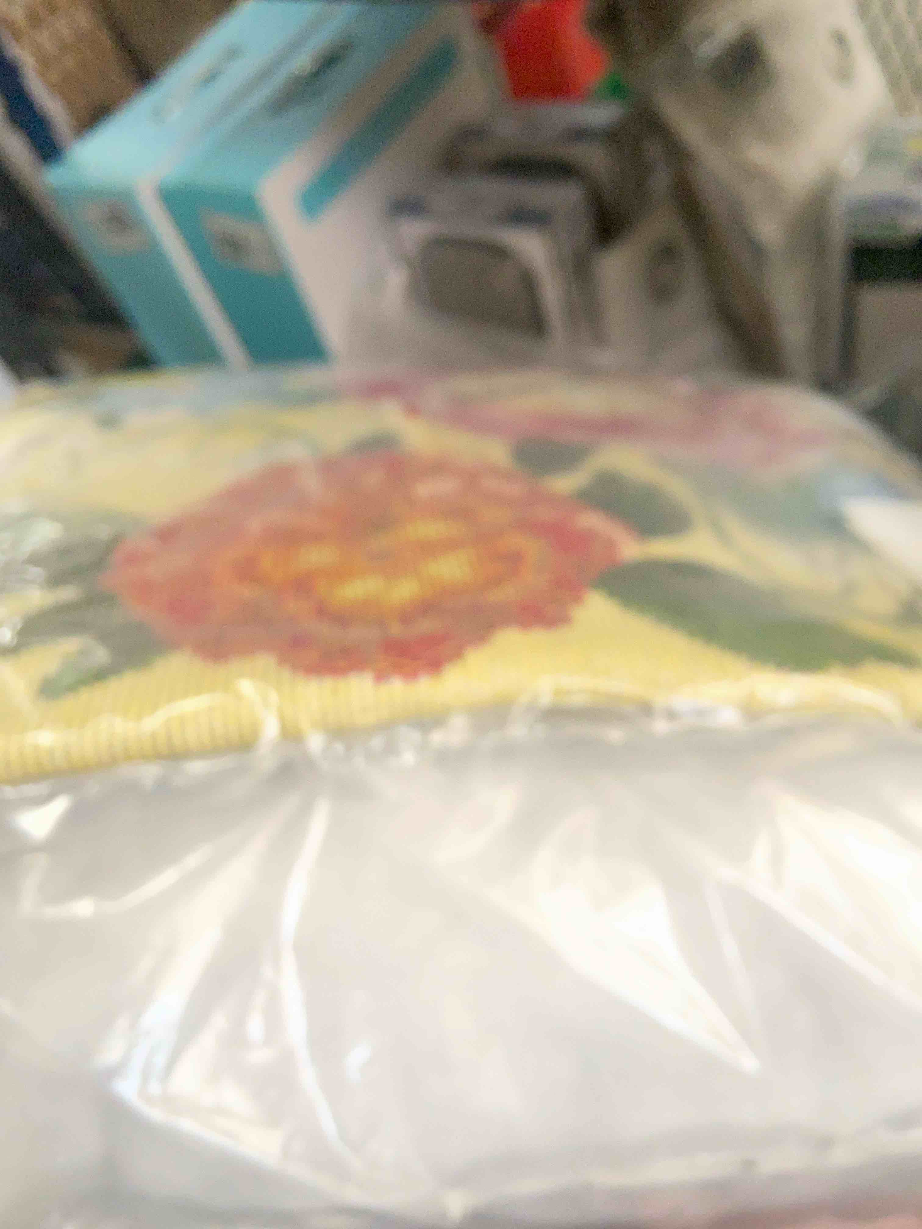 Condition photo showing New/Like New for Liora Manne Marina Secret Garden Indoor / Outdoor Throw Pillow, Chiffon