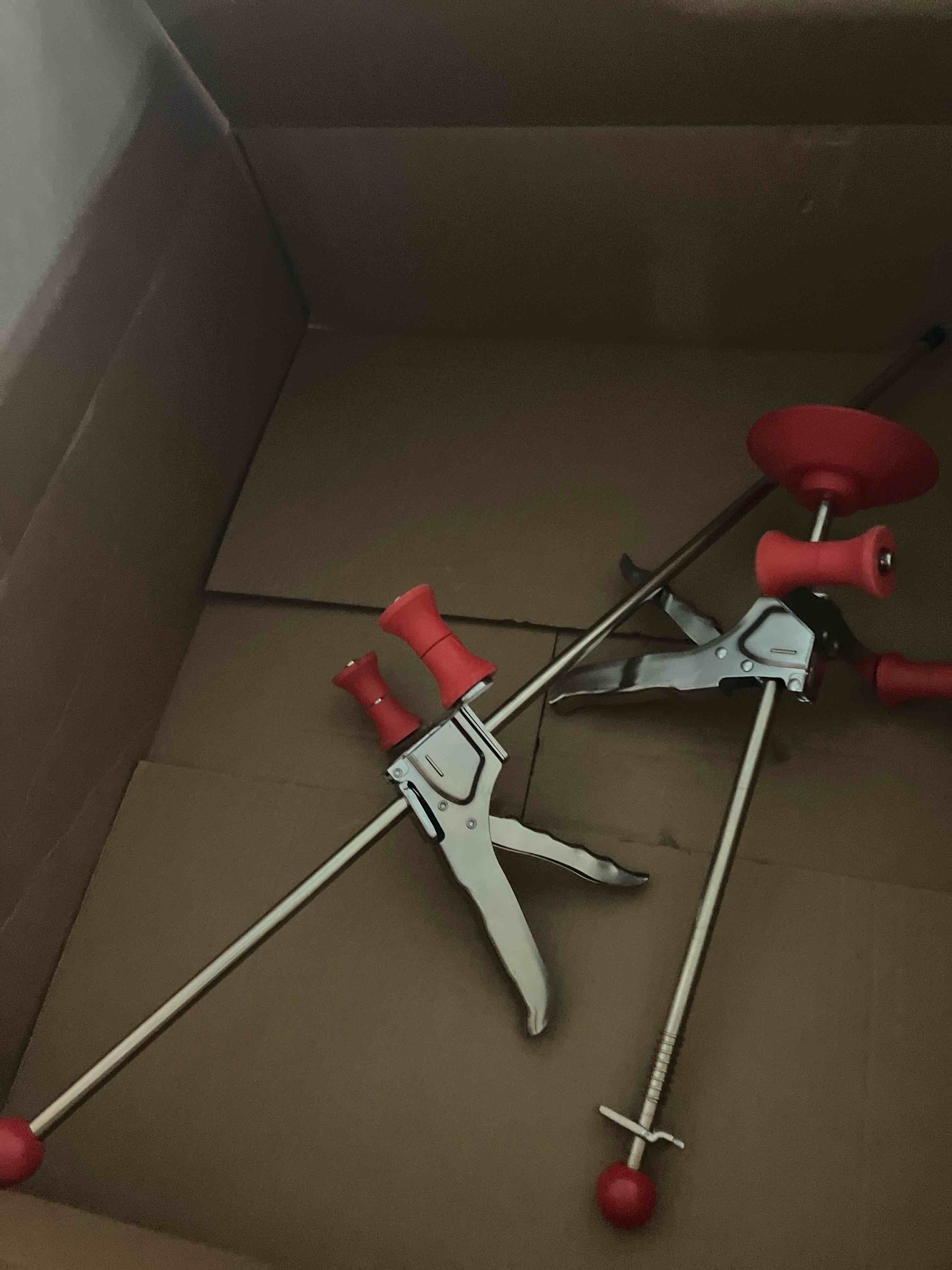 https://s3.amazonaws.com/lotting-images-prod/phillipi/GRA2321688_1744645429352.jpeg