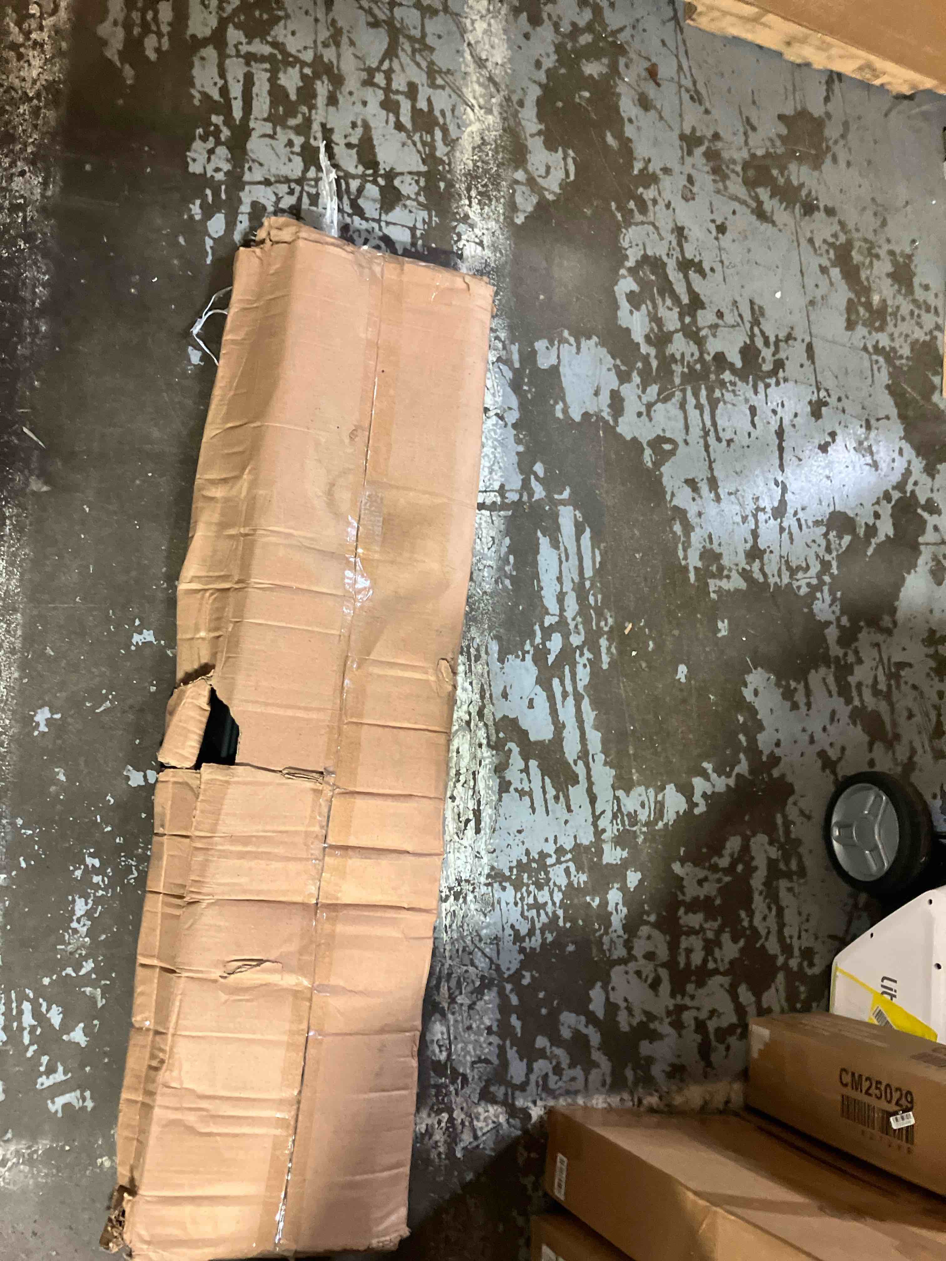 https://s3.amazonaws.com/lotting-images-prod/phillipi/GRA2329142_1752156231138.jpeg