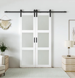 frosted glass paneled double barn