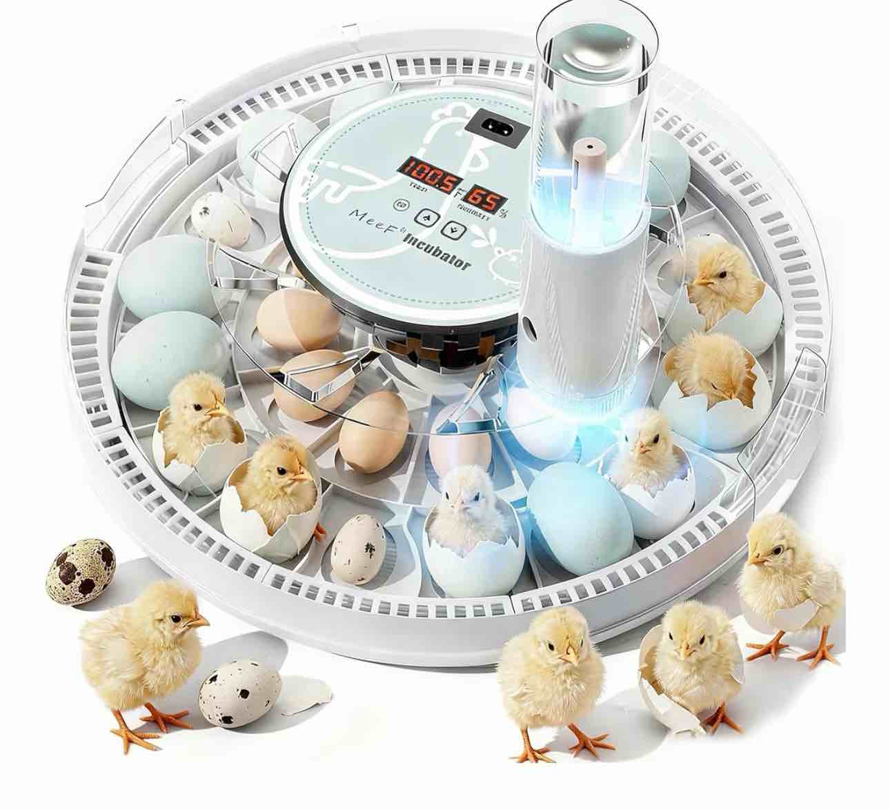 meef incubators for hatching 28 eggs,independent atomizing humidifier, auto flip, additional equipped well as duck and goose egg trays that can hold 12 eggs.(white)