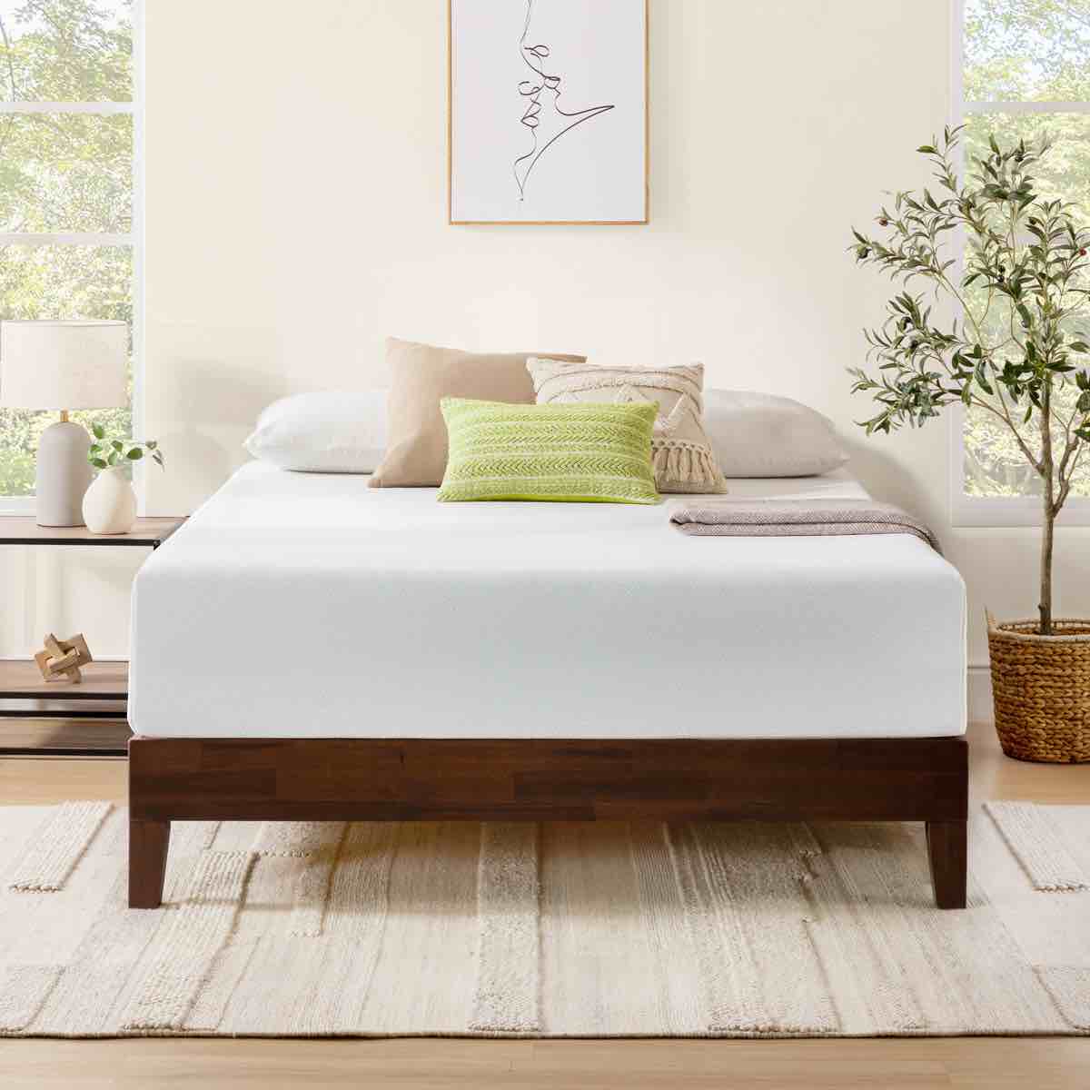 wayfair sleep 12" plush memory foam mattress
