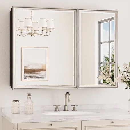 lunara recessed & surface framed 2 door medicine cabinet