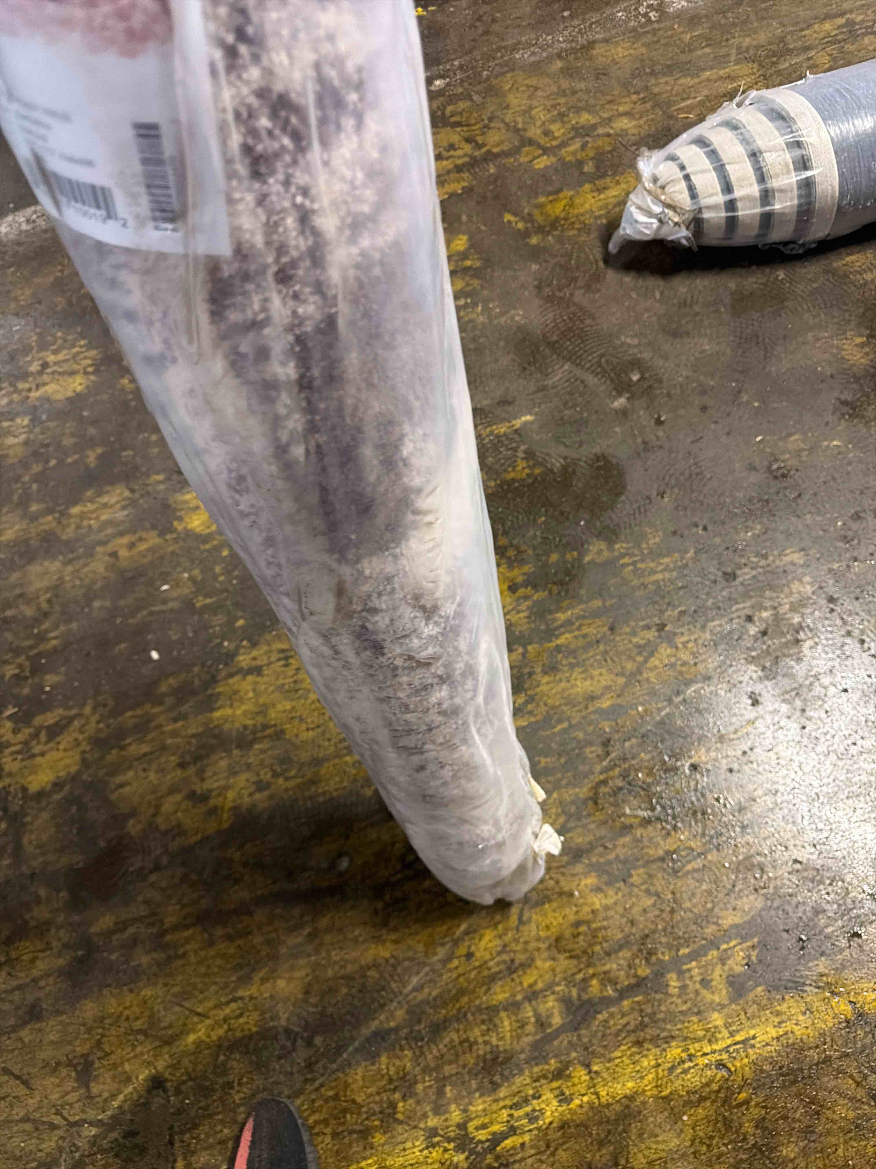 Condition photo showing New/Like New for Mountview Oriental Indoor Rug