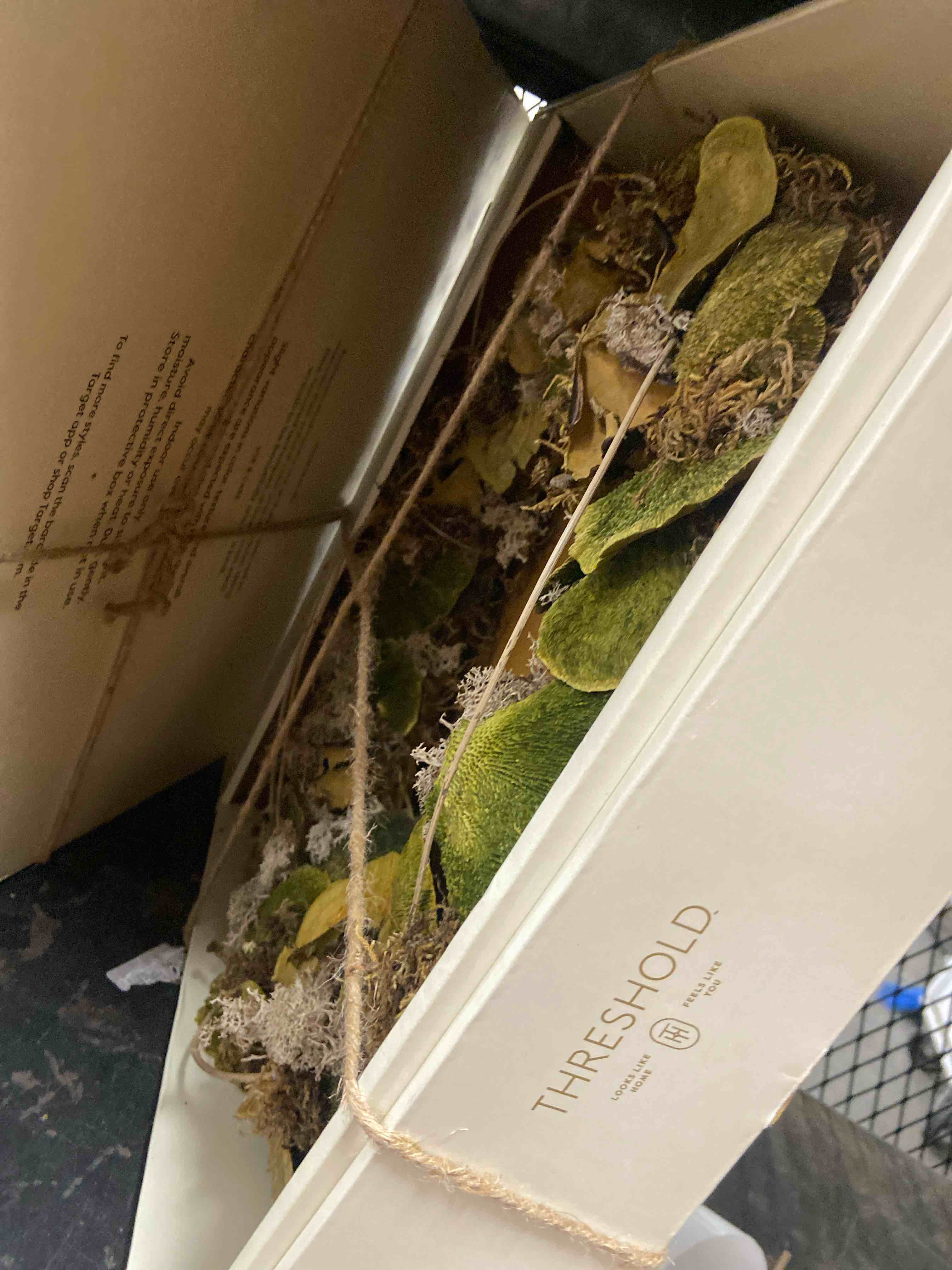Condition photo showing New/Like New for mushroom preserved wreath - threshold™