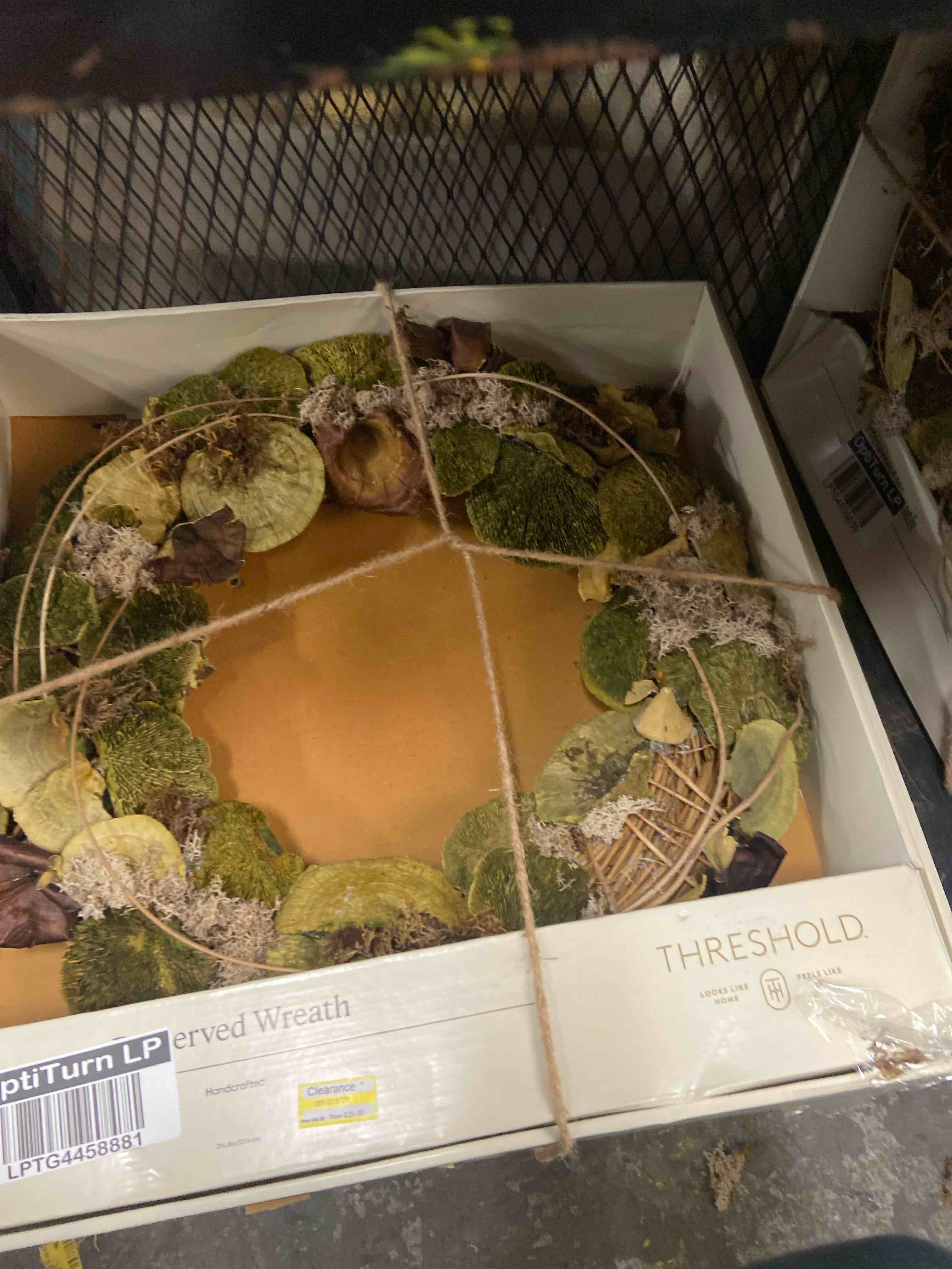 Condition photo showing New/Like New for mushroom preserved wreath - threshold™