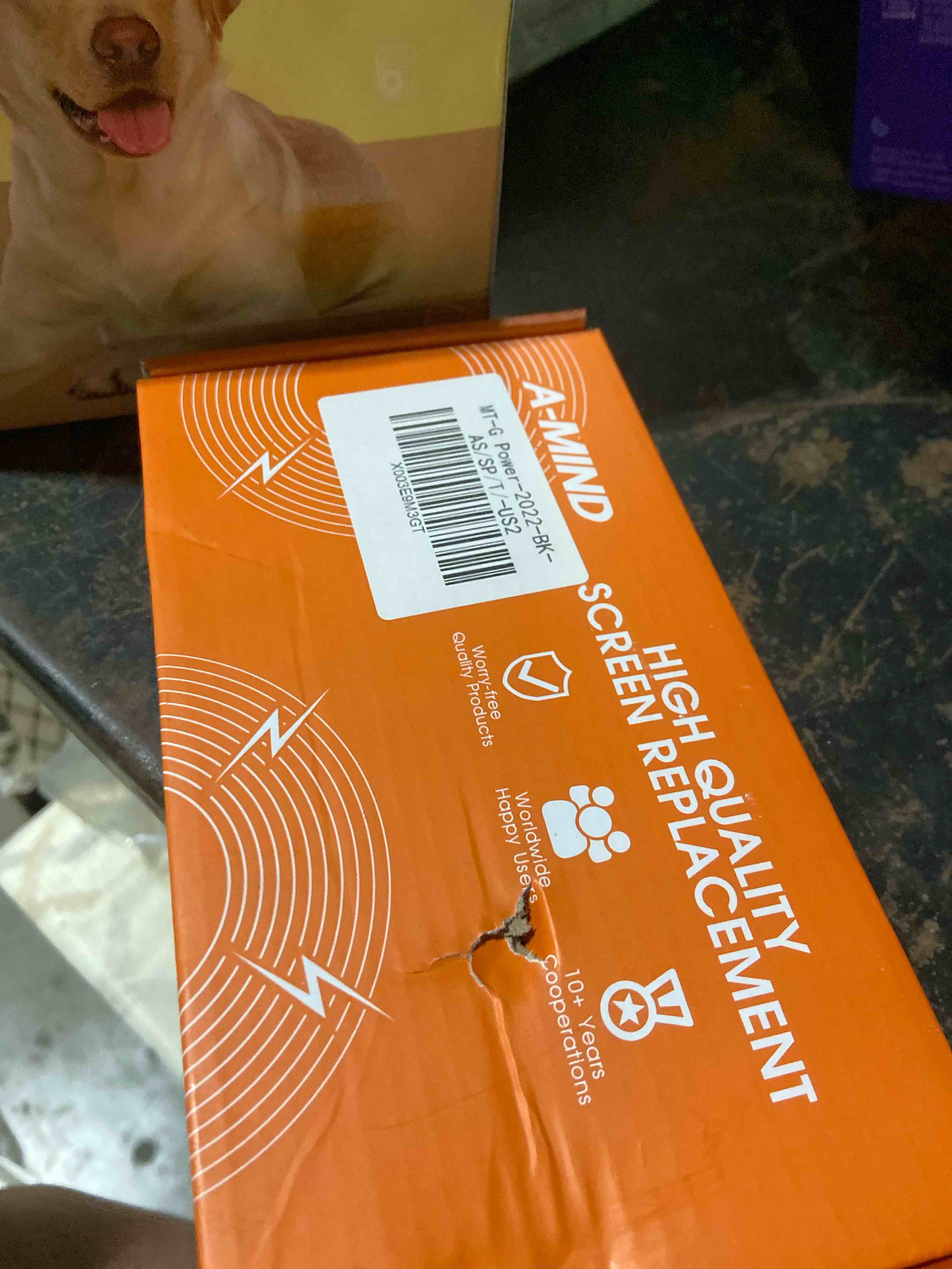 https://s3.amazonaws.com/lotting-images-prod/phillipi/GRA2343047_1789494893091.jpeg