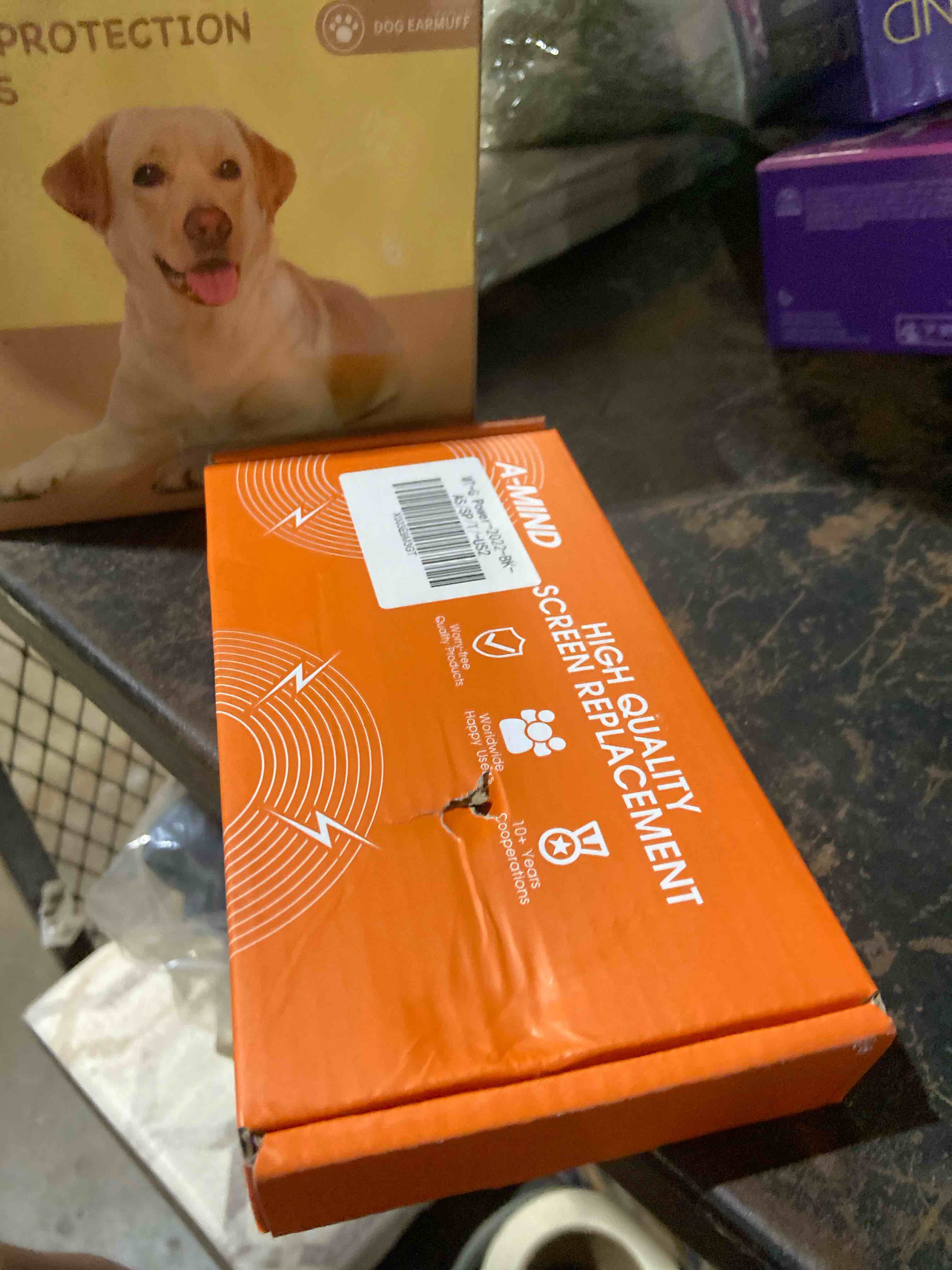 https://s3.amazonaws.com/lotting-images-prod/phillipi/GRA2343047_1789494894415.jpeg