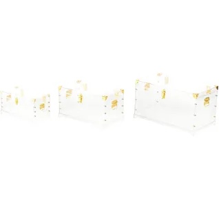 Hortencia Clear Acrylic Plastic Storage Decorative Trunk with Gold Metal Hardware and Studded Details, Set of 3 26", 22", 18"H