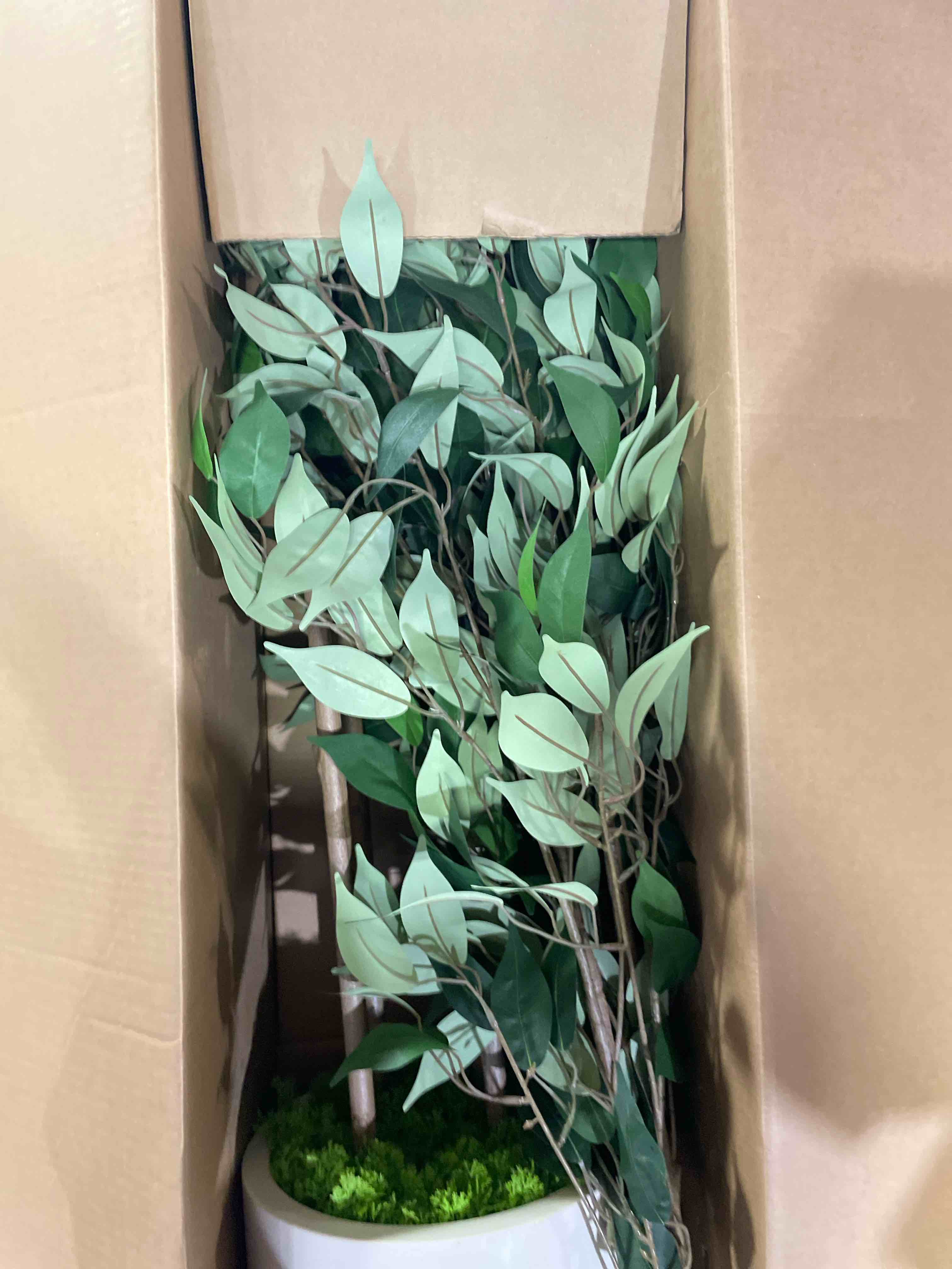 Condition photo showing New/Like New for ficus artificial tree 6ft fake silk plant for home decor indoor, faux floor tree in white imitation ceramic planter with green fake moss for home office corner indoor decor, set of 1