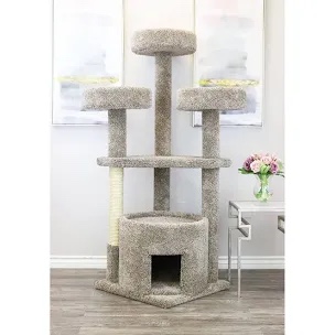 Maine coon cat tree