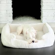 white dog bed 