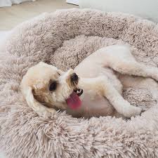 Dog bed
