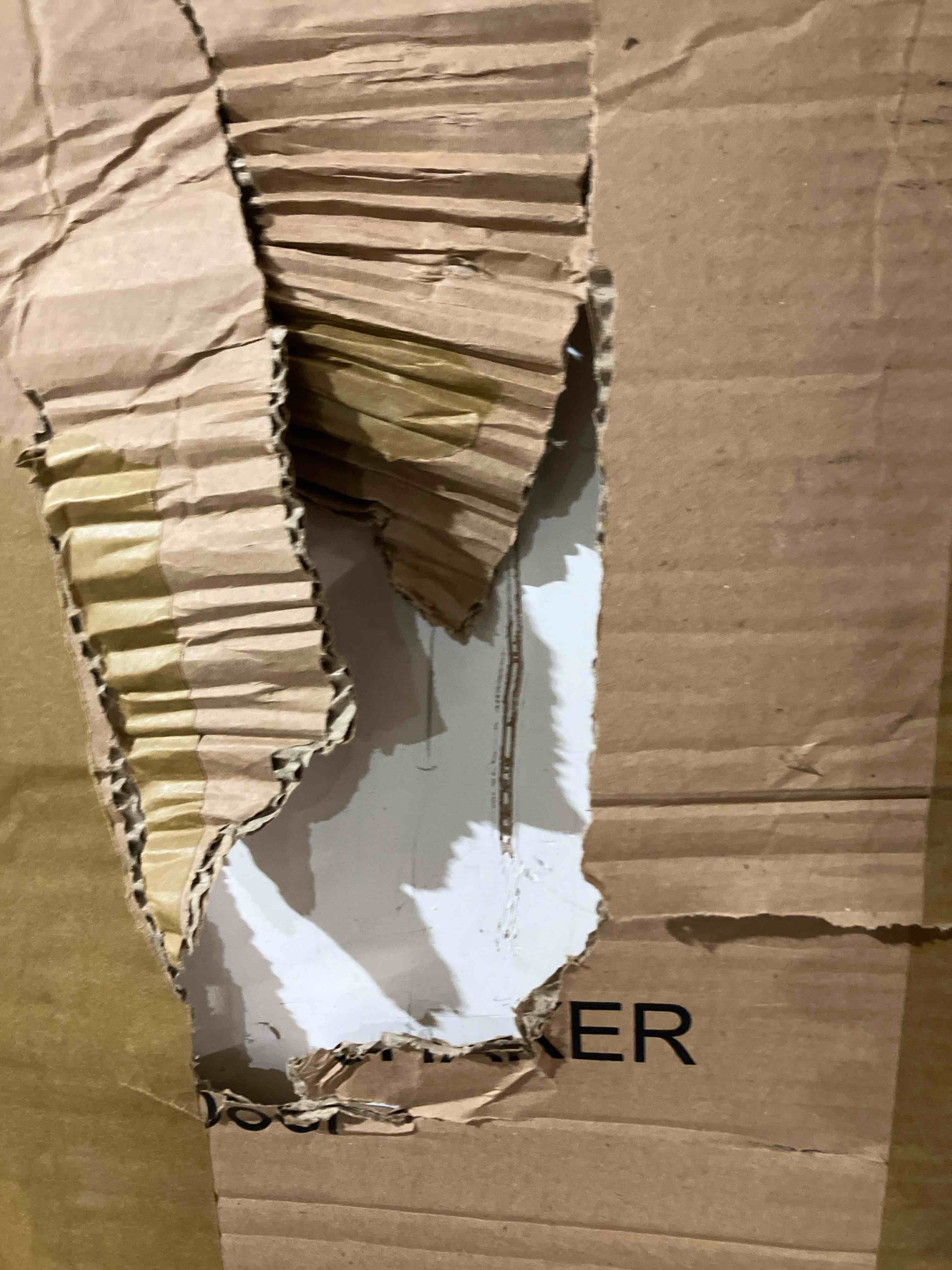 https://s3.amazonaws.com/lotting-images-prod/phillipi/GRA3637871_1760375233697.jpeg