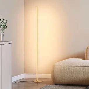 Cecchine Dimmable LED Corner Floor Lamp with Remote Control
