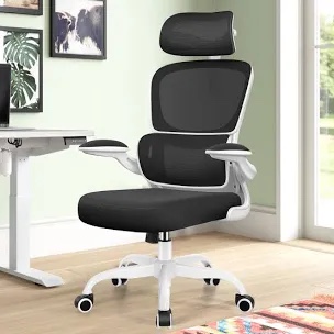 Lidwien Ergonomic Breathable Mesh Office Chair with Adjustable Height 