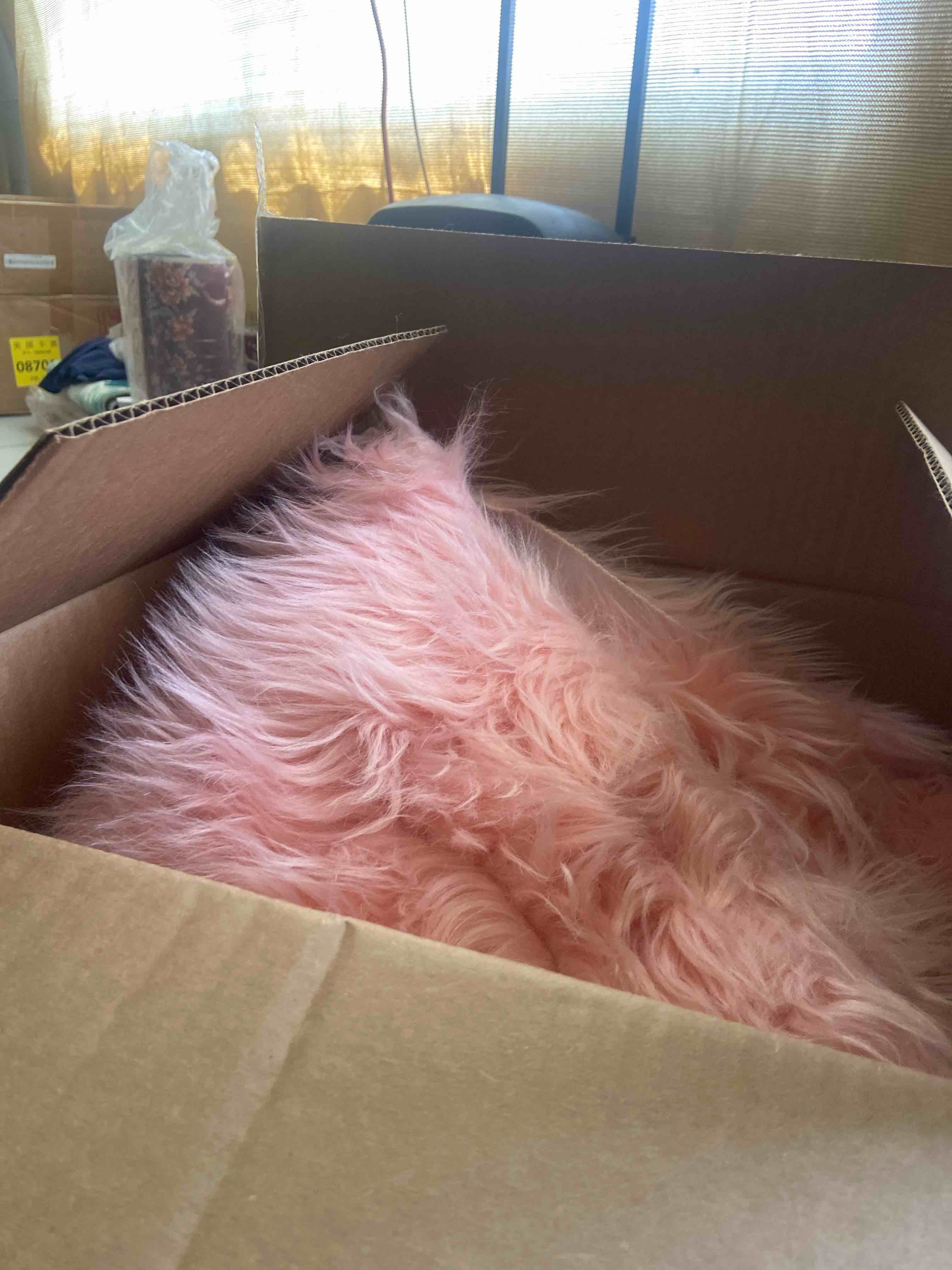 Condition photo showing New/Like New for noahas luxury fluffy rugs bedroom furry carpet bedside faux fur sheepskin area rugs children play princess room decor rug, 3 x 5 feet