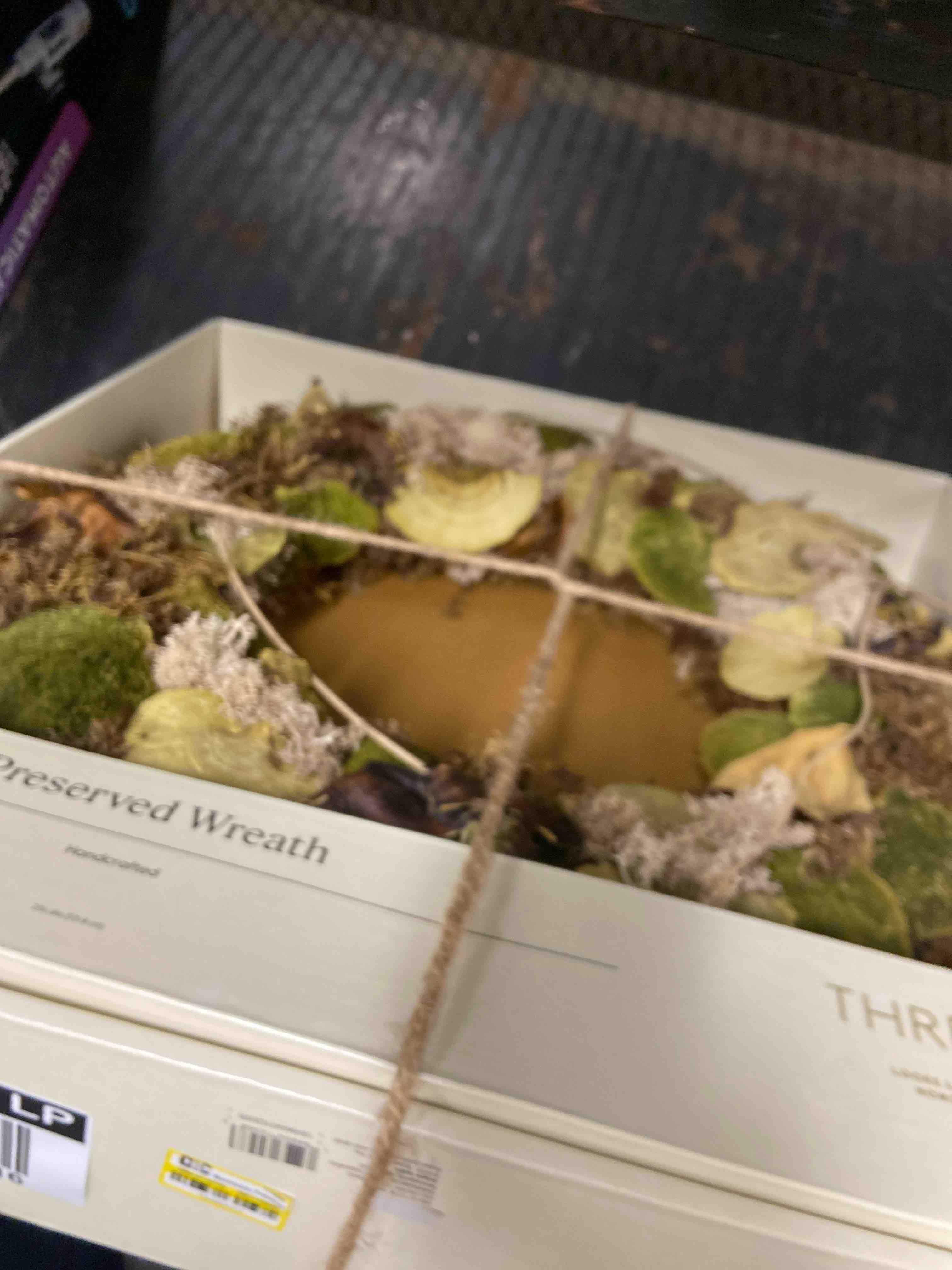 Condition photo showing New/Like New for mushroom preserved wreath - threshold™