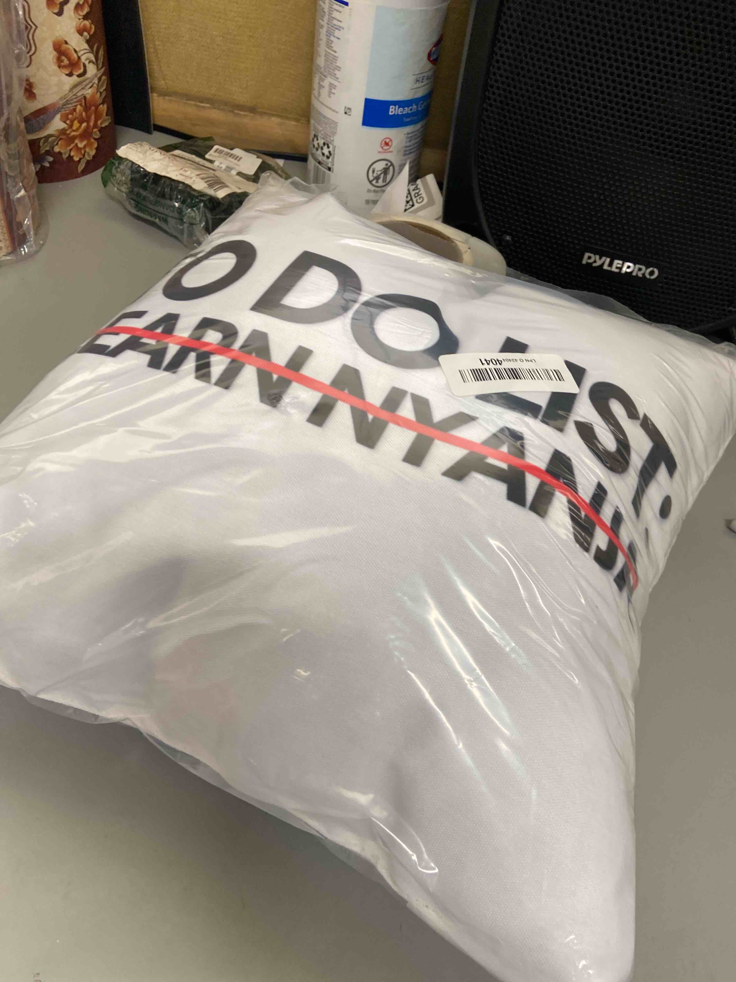 Condition photo showing New/Like New for to do list learn nyanja language learning achievement goal throw pillow