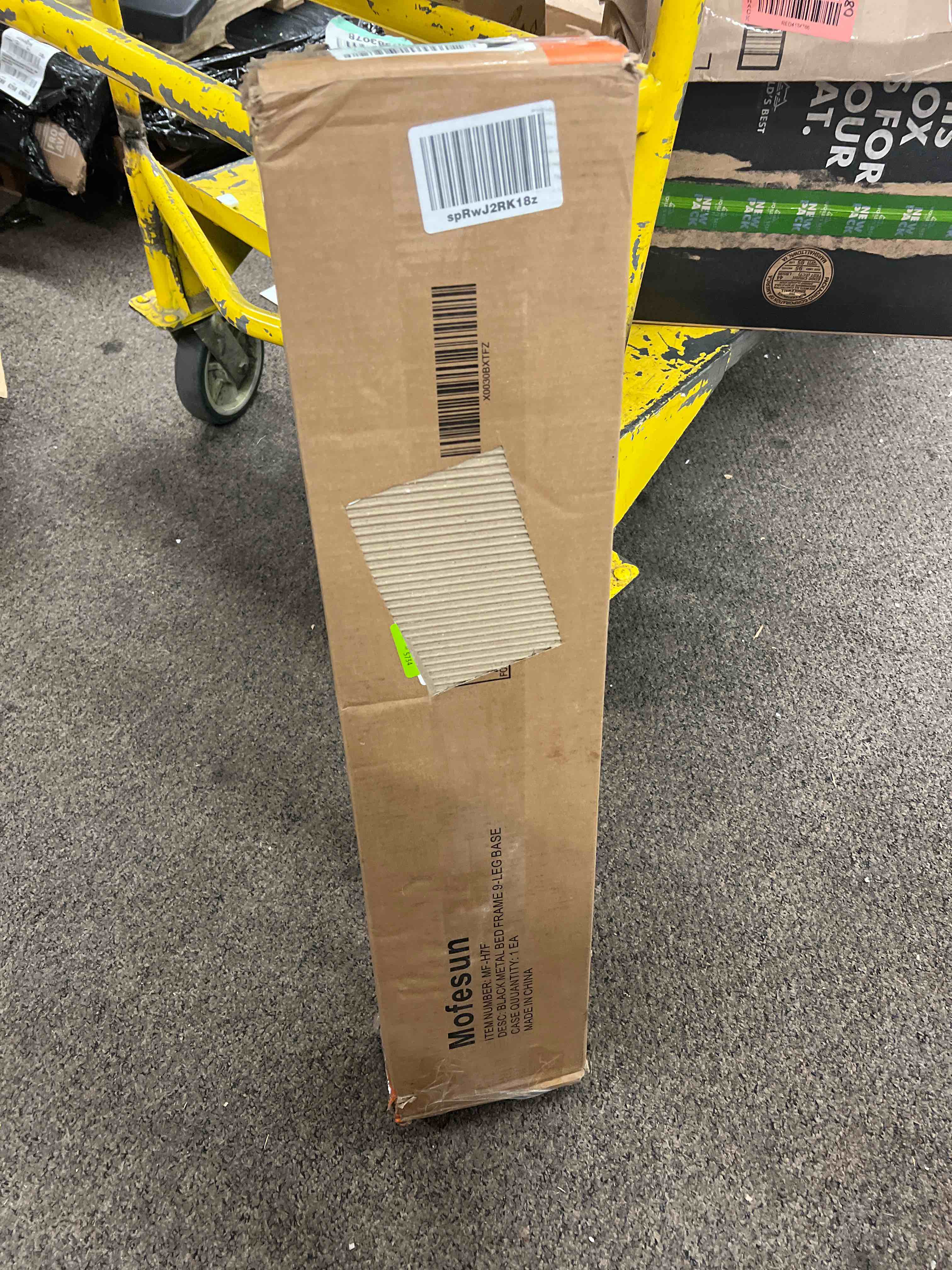 https://s3.amazonaws.com/lotting-images-prod/phillipi/GRN4353390_1686923684144.jpeg