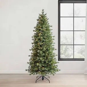 Member's Mark Linden Fir Slim Pre-Lit Christmas Tree 7ft 