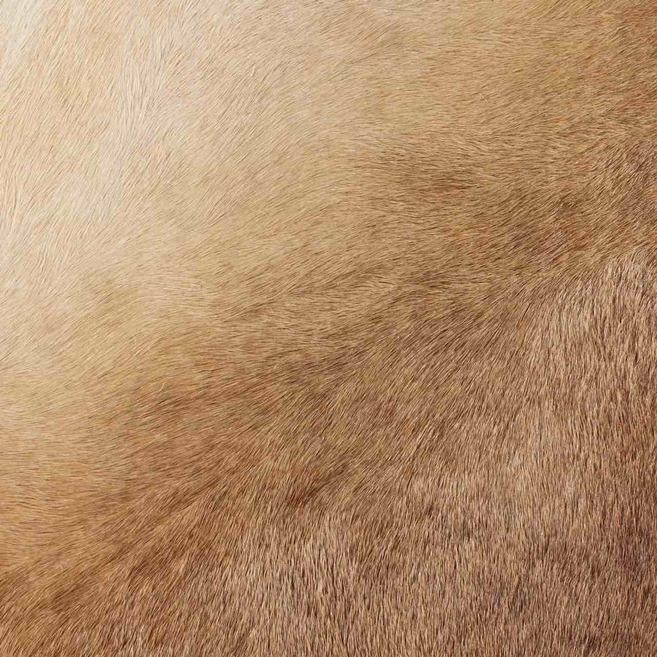 https://s3.amazonaws.com/lotting-images-prod/phillipi/GRN4418382_1721934192623.jpeg
