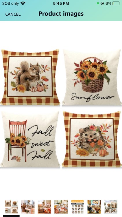 Cirzone decorative pillow covers, fall scene