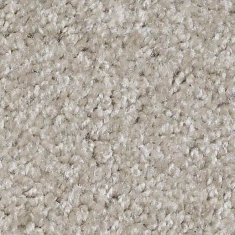 4ft x6ft, Simple, Shag, Cascade, Stain Resistant, Area Rug