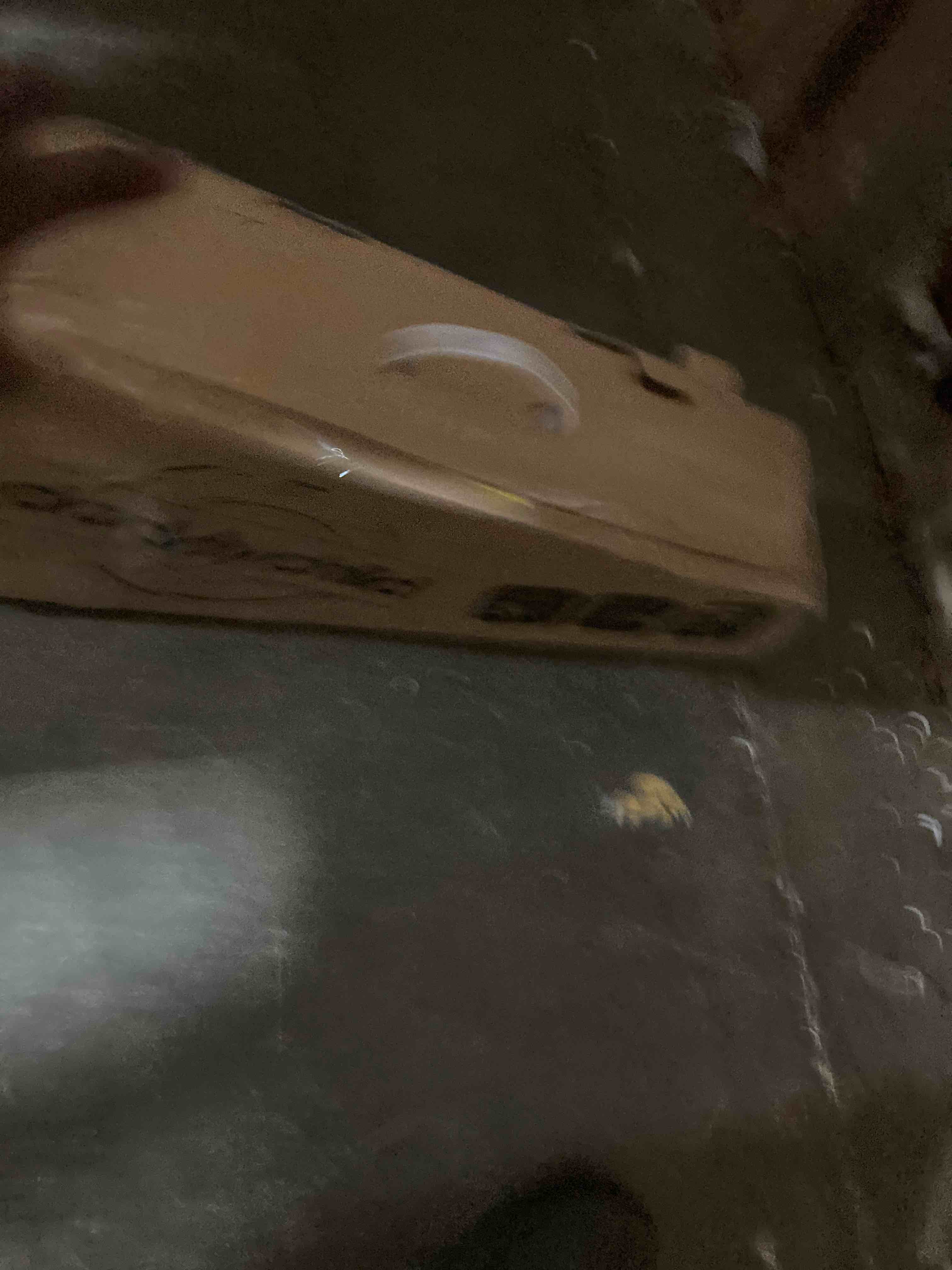 https://s3.amazonaws.com/lotting-images-prod/phillipi/GRN4961021_1694126262311.jpeg