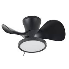 Roomratv Ceiling Fan with Lights 