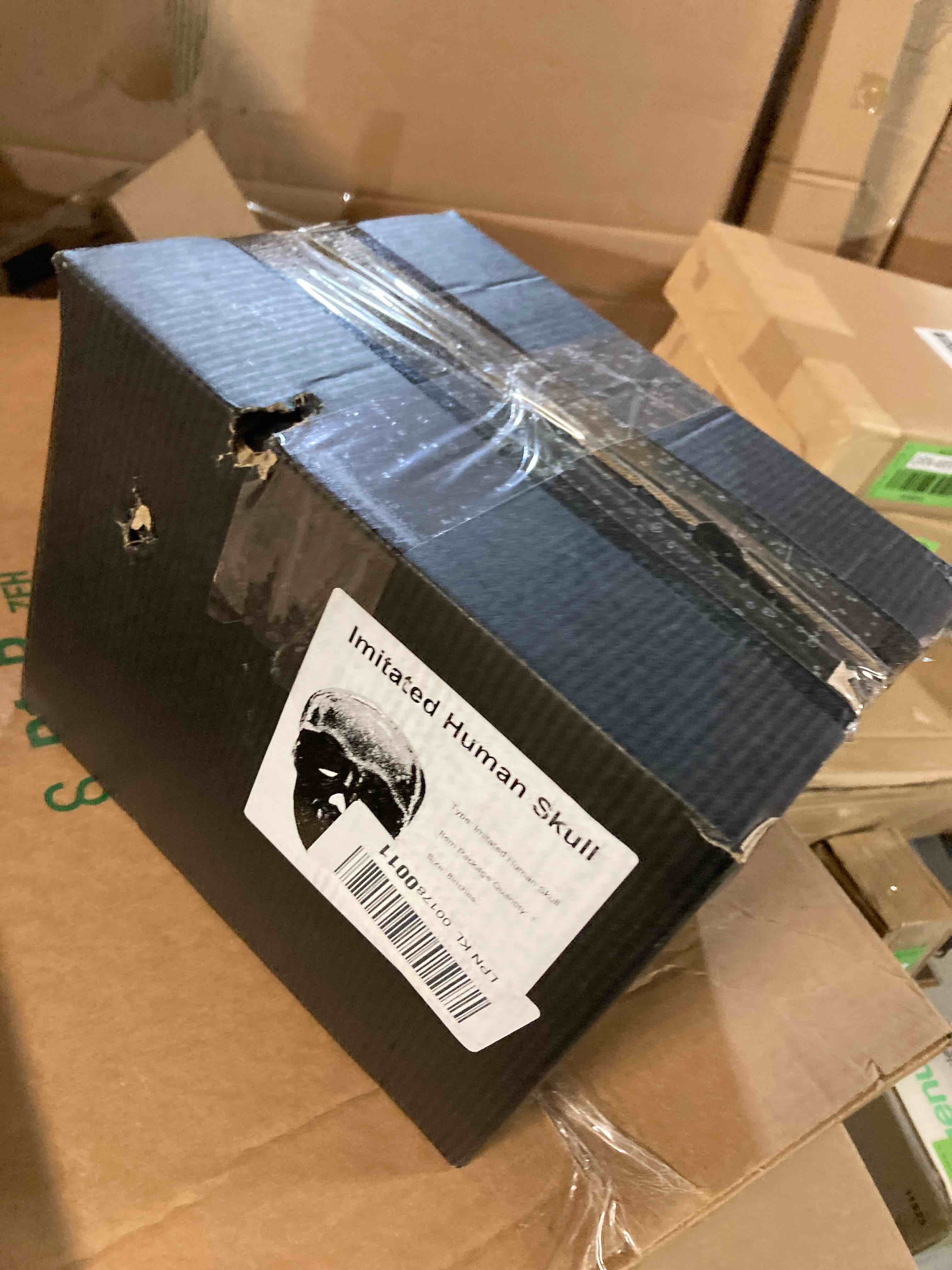 https://s3.amazonaws.com/lotting-images-prod/phillipi/GRN5124605_1708024609731.jpeg