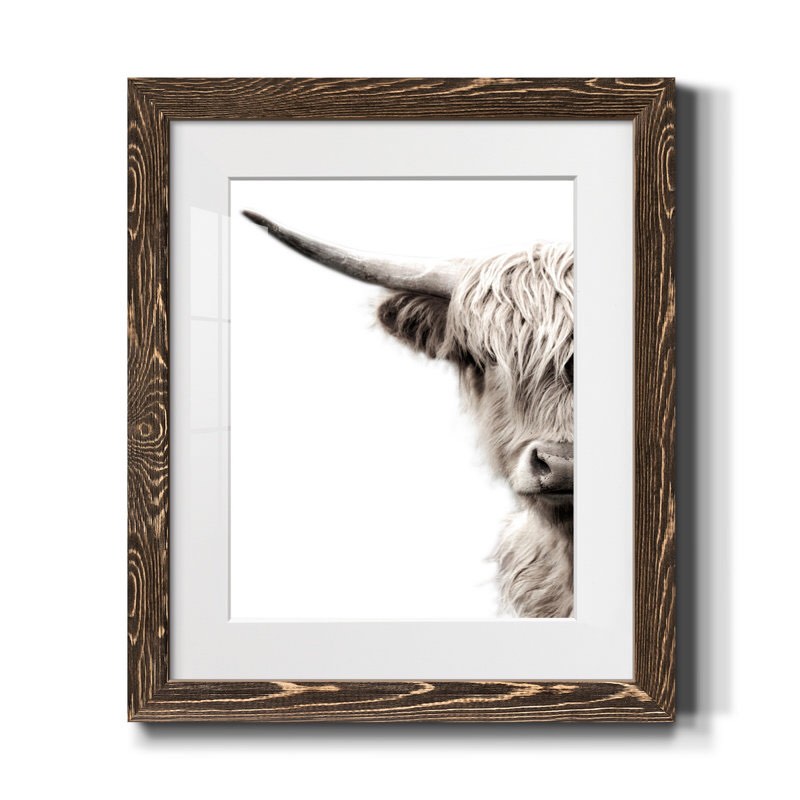 " Highland Cattle " Framed Canvas