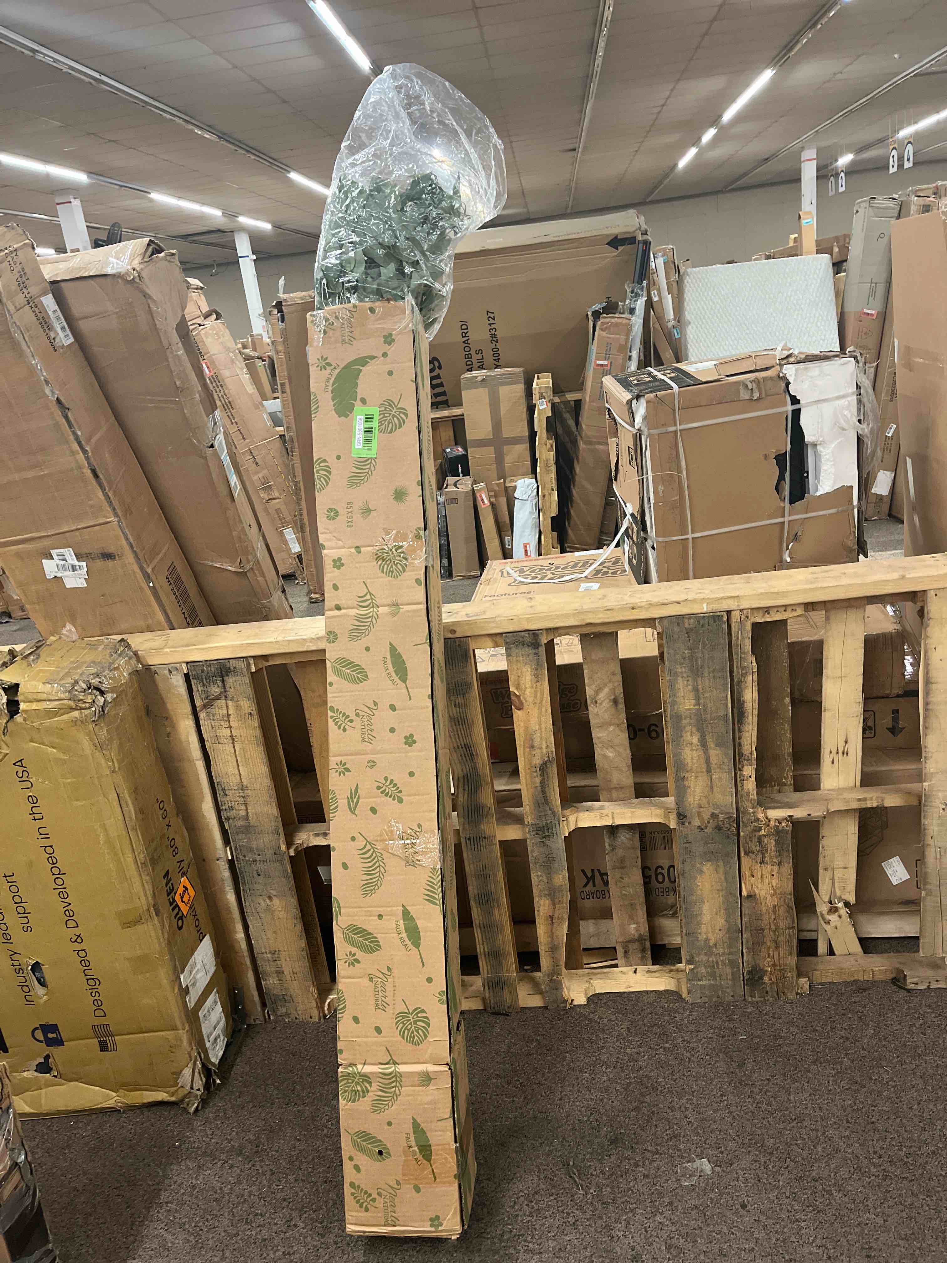 https://s3.amazonaws.com/lotting-images-prod/phillipi/GRN5501068_1701898244440.jpeg