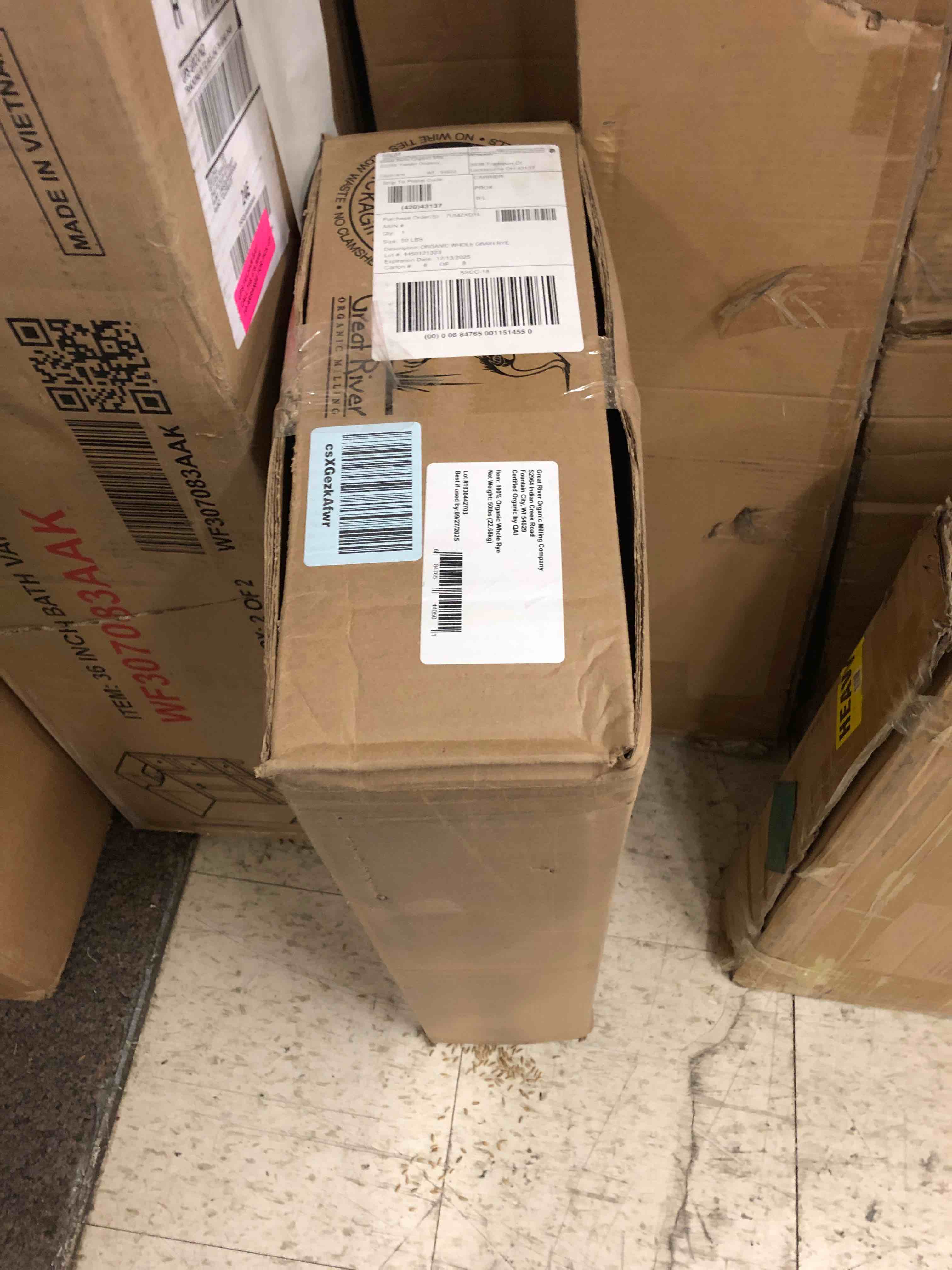 https://s3.amazonaws.com/lotting-images-prod/phillipi/GRN5502276_1704688792181.jpeg