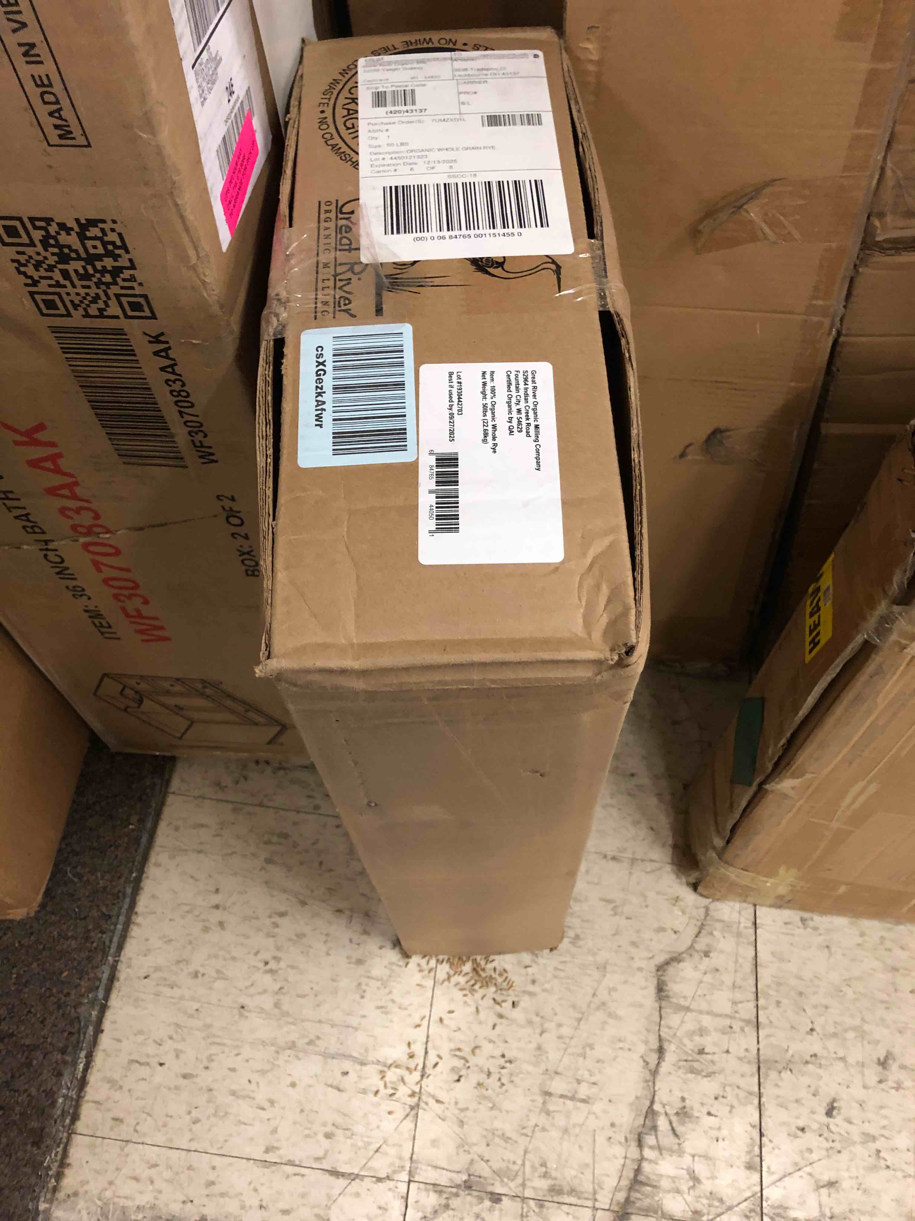 https://s3.amazonaws.com/lotting-images-prod/phillipi/GRN5502276_1704688793527.jpeg