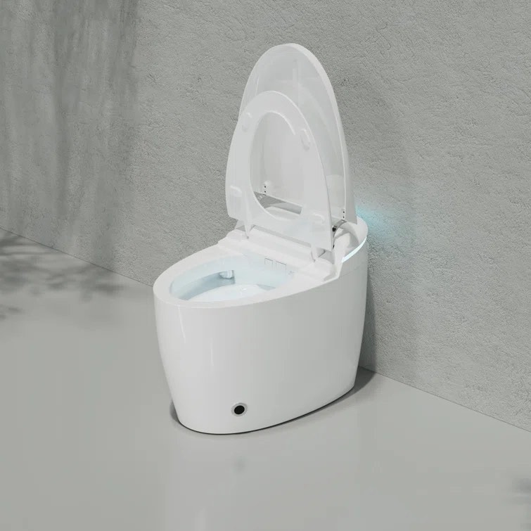 KK-ST0672 Smart Bidet Toilet with Massage Washing, Auto Flush, Heated Seat, Multi Function Remote Control See More by KE KING