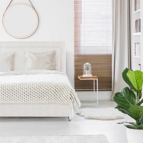 Skyline Furniture Empire Linen Upholstered Bed