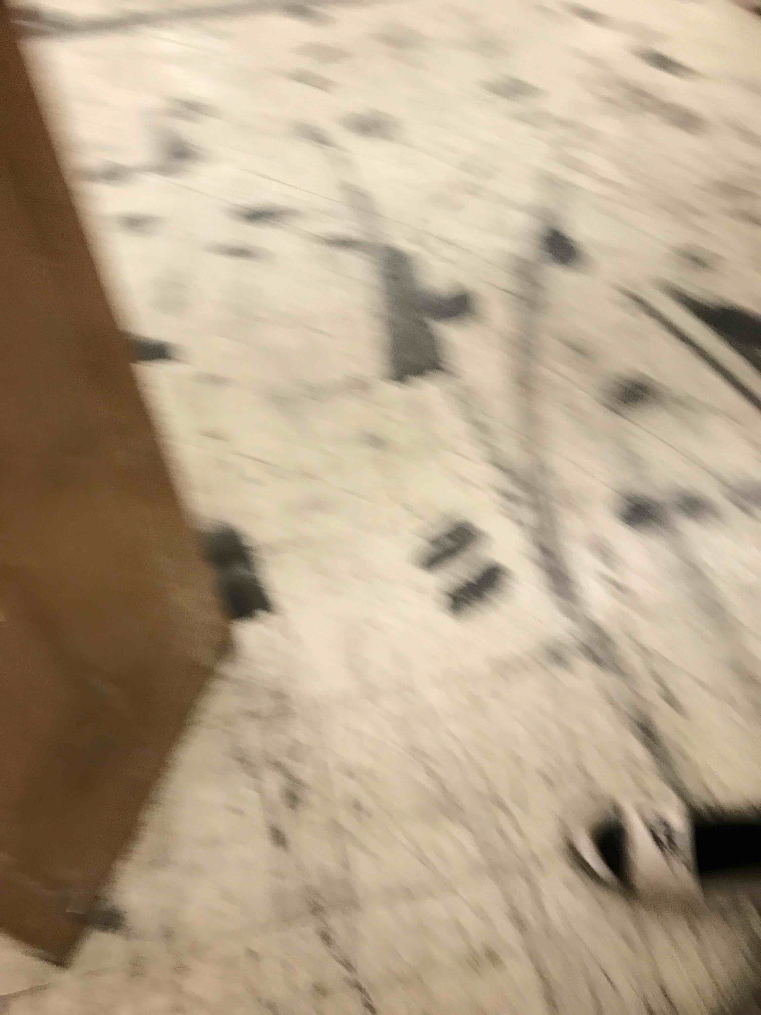 https://s3.amazonaws.com/lotting-images-prod/phillipi/GRN5781274_1716737117607.jpeg