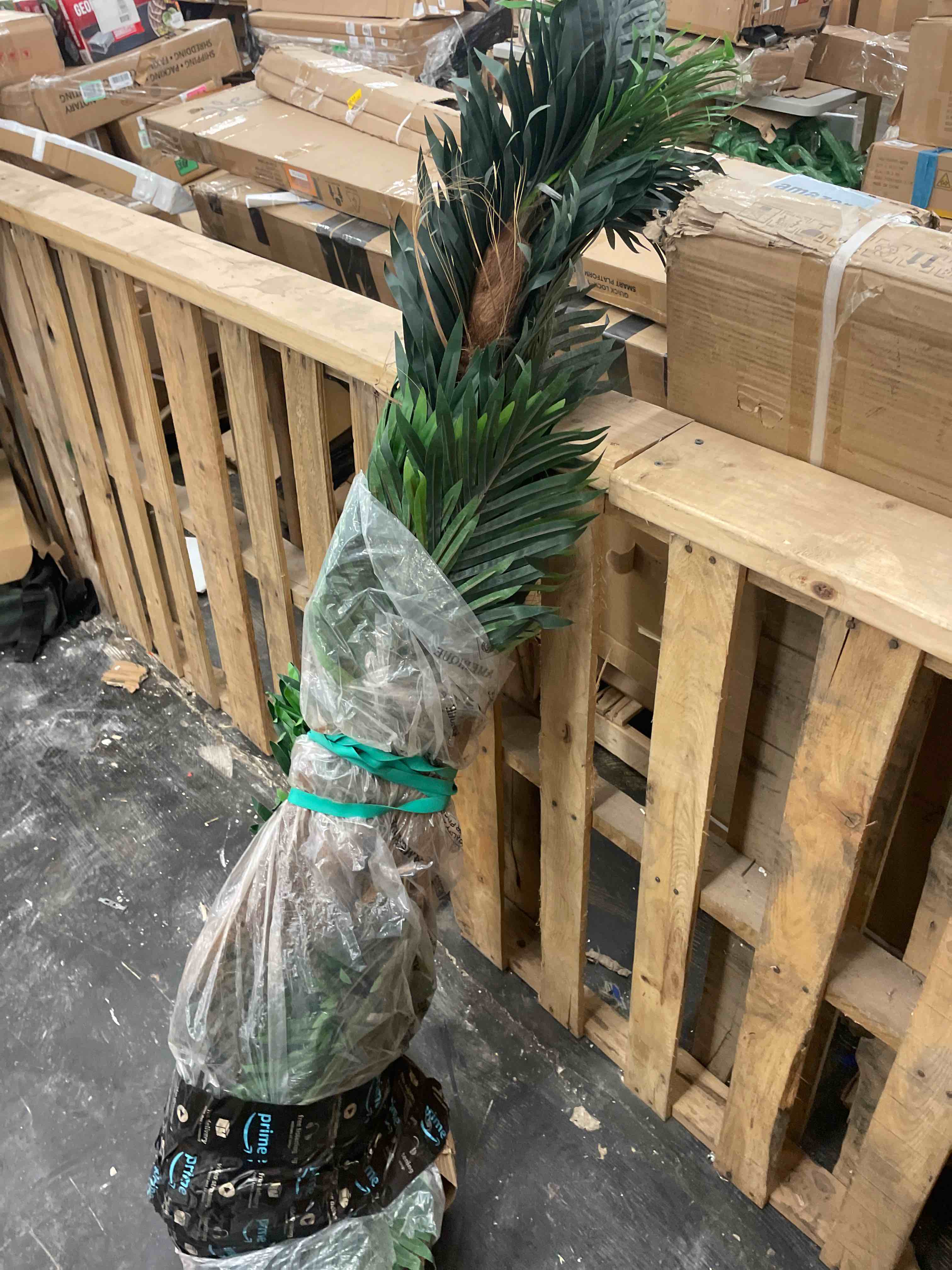https://s3.amazonaws.com/lotting-images-prod/phillipi/GRN5781726_1715089485036.jpeg