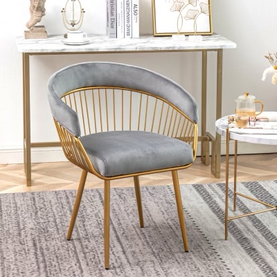 Emaad Leisure Modern Living Dining Room Accent Arm Chairs Club Guest with Metal Legs (Set of 2) MBW-GY