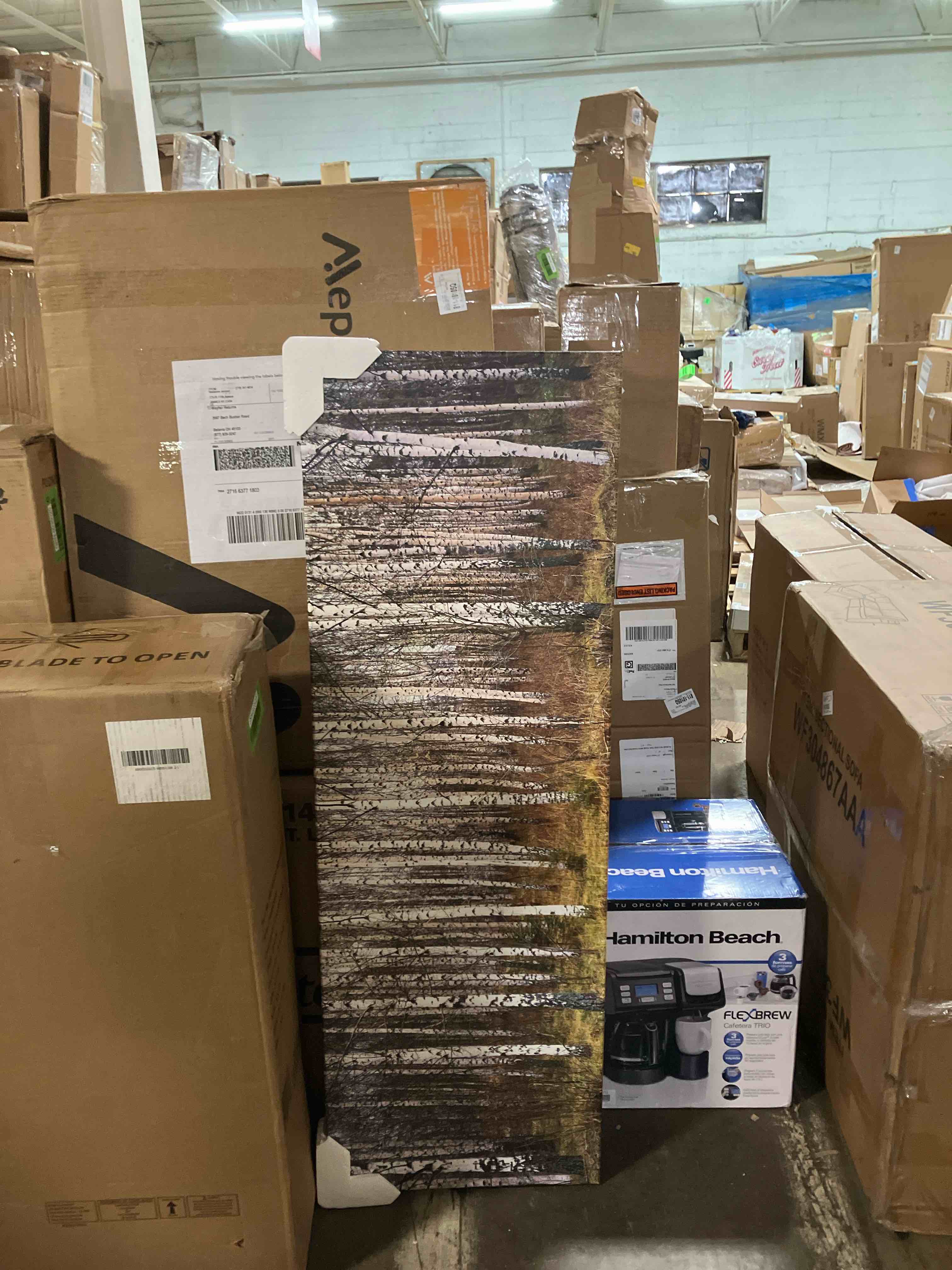 https://s3.amazonaws.com/lotting-images-prod/phillipi/GRN6035030_1713292601509.jpeg