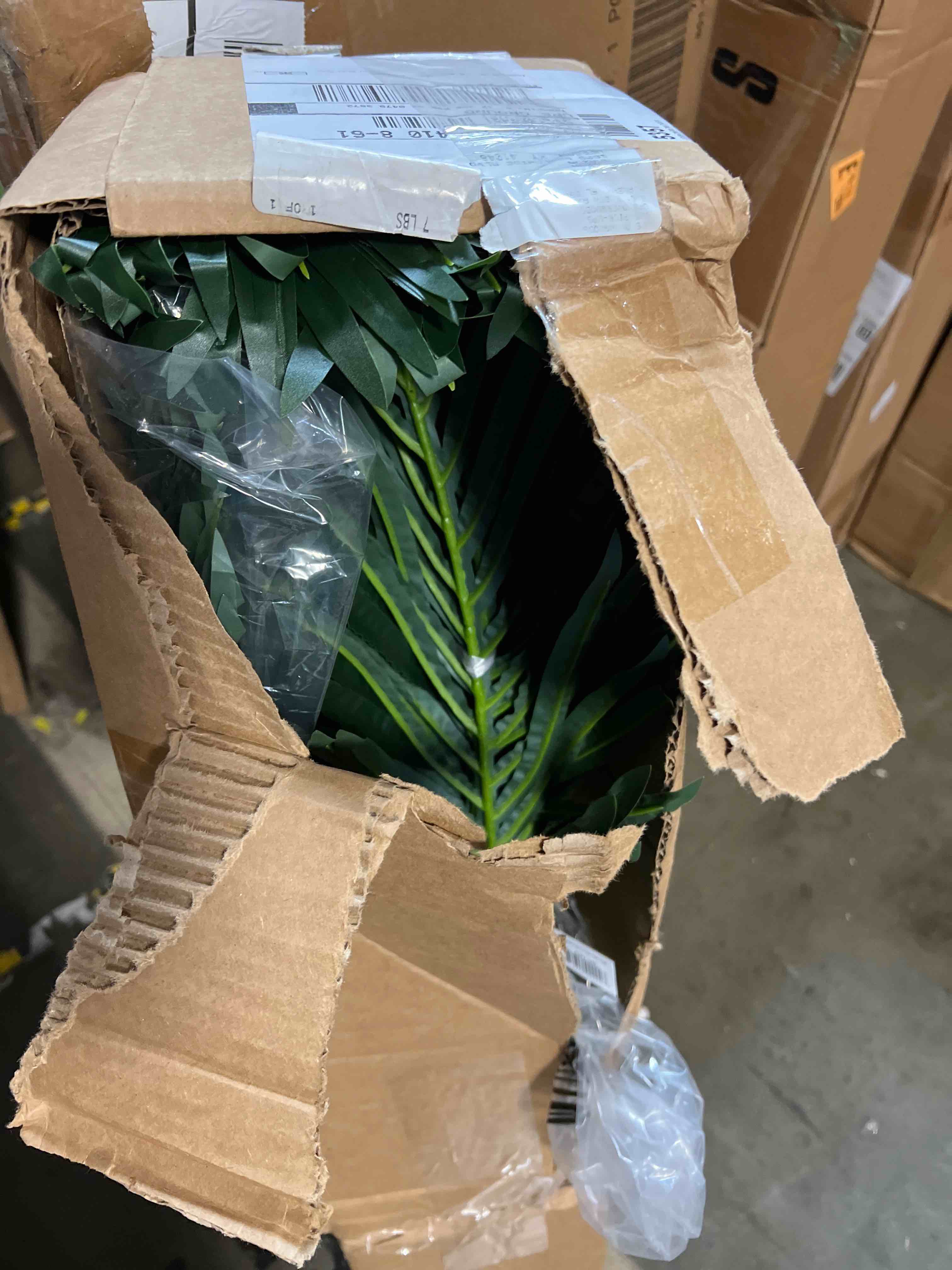 https://s3.amazonaws.com/lotting-images-prod/phillipi/GRN6037458_1724265924676.jpeg