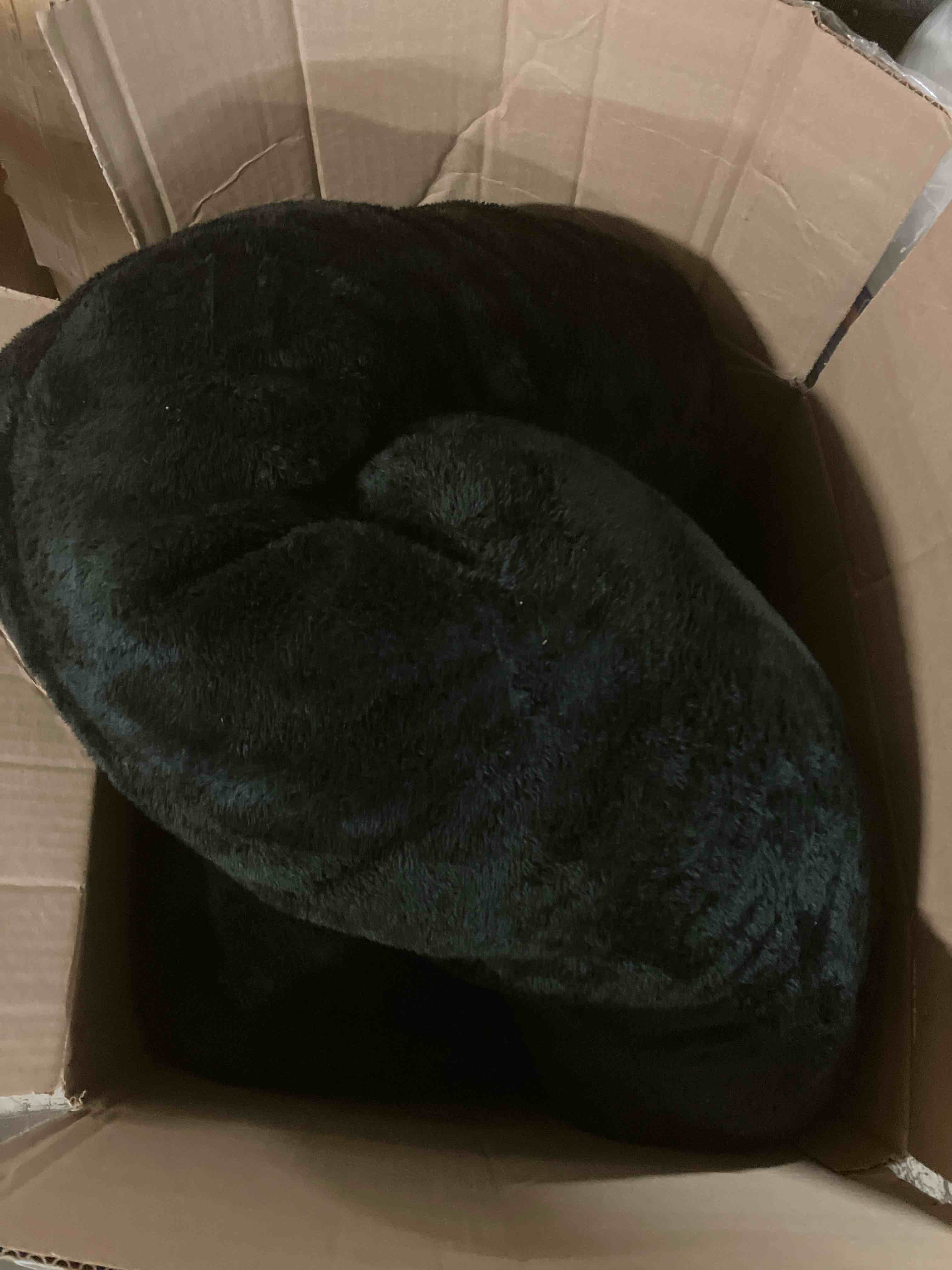 https://s3.amazonaws.com/lotting-images-prod/phillipi/GRN6071608_1710453871019.jpeg