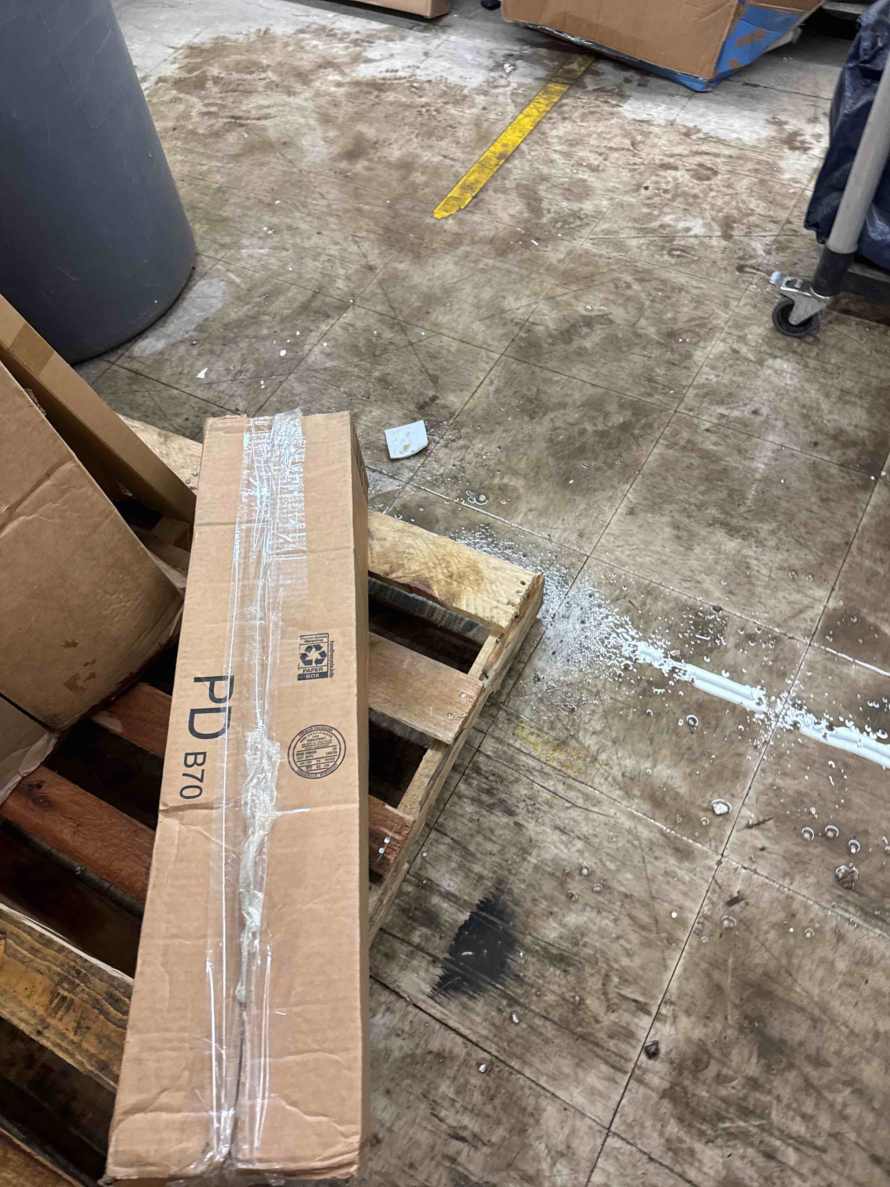 https://s3.amazonaws.com/lotting-images-prod/phillipi/GRN6076806_1731426996975.jpeg