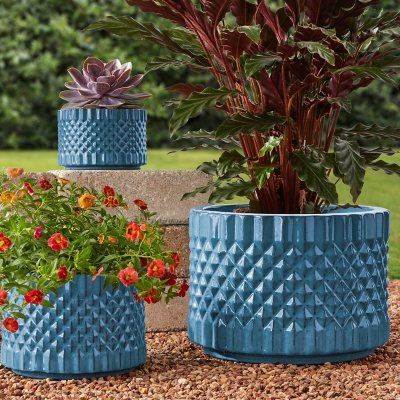 Members Mark 3-Pack Ceramic Planters