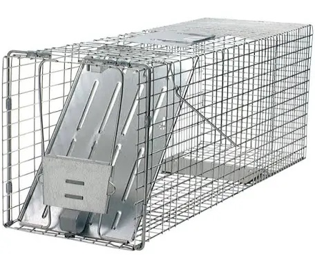 Havahart 1079SR Large 1-Door Humane Catch and Release Live Animal Trap for Raccoons, Cats, Bobcats, Beavers, Small Dogs, Groundhogs, Opossums, Foxes, Armadillos, and Similar-Sized Animals