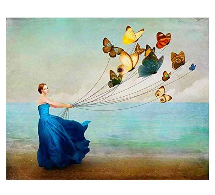 PBN DIY MOXDE DIY Oil Painting kit, Paint by Numbers Kit for Kids and Adults, Canvas Painting by Numbers, Acrylic Painting, Home Wall Decor Paint by Number Kits - Lady with Butterflies 16x20 inches (Framed)