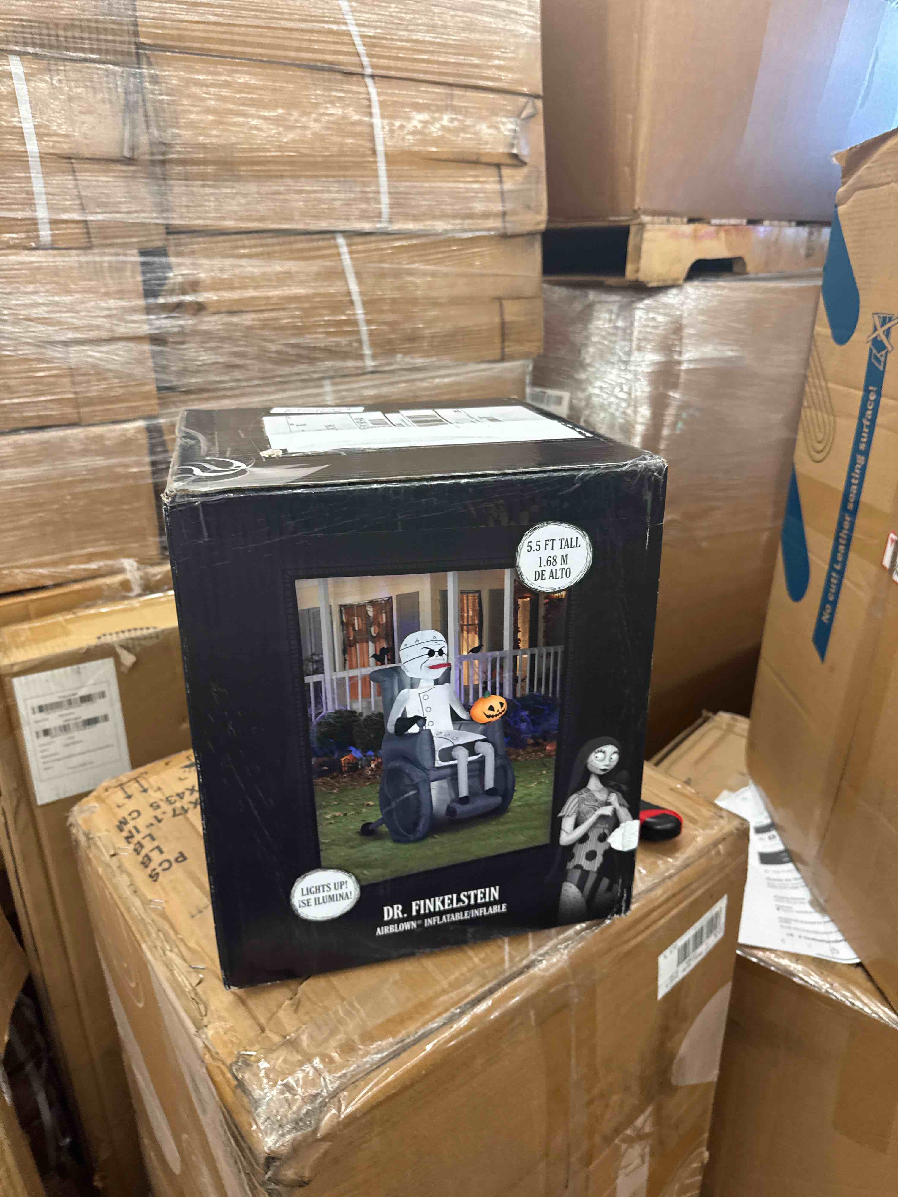 https://s3.amazonaws.com/lotting-images-prod/phillipi/ORG3768778_1729259468838.jpeg